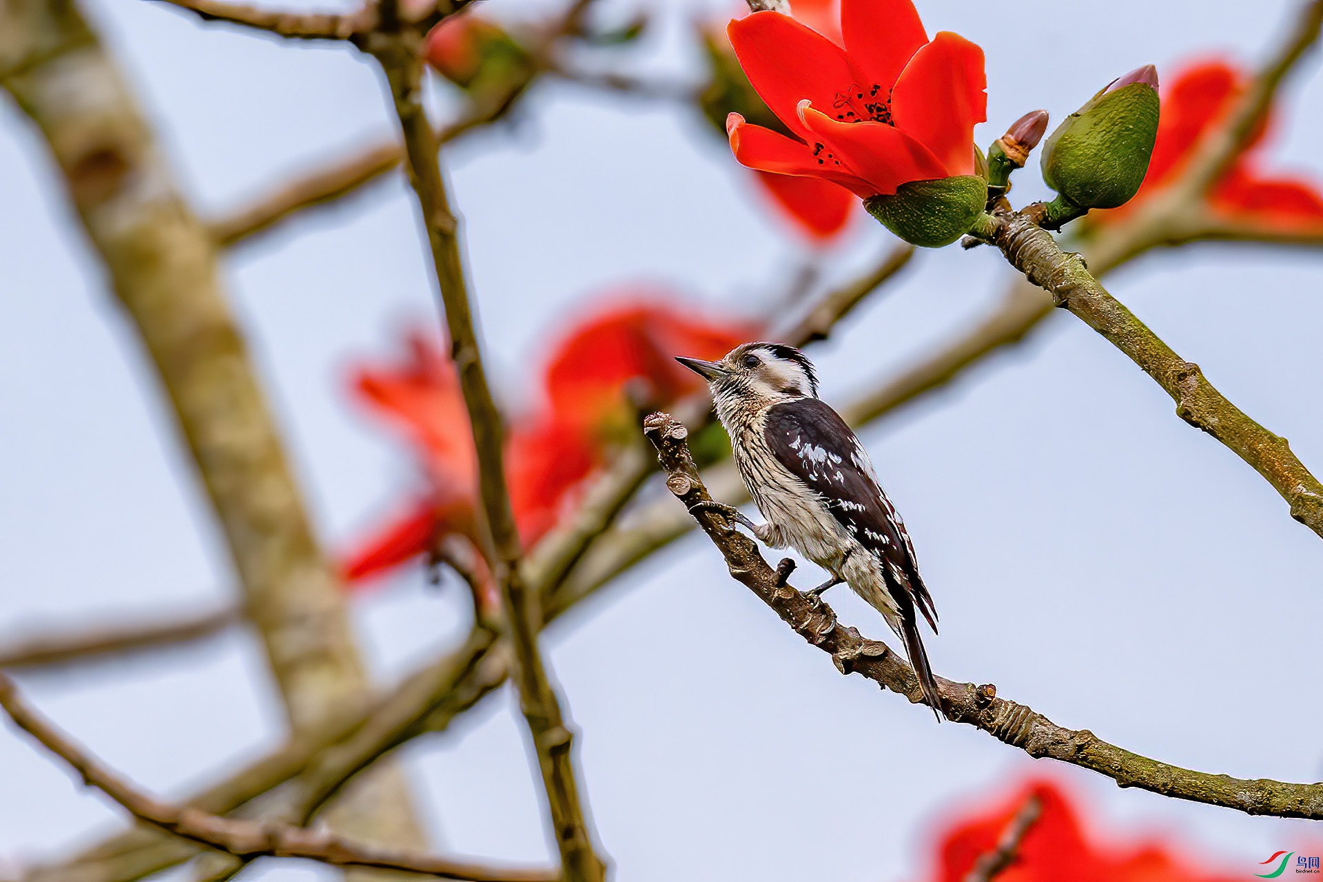 DSC_0778.jpg