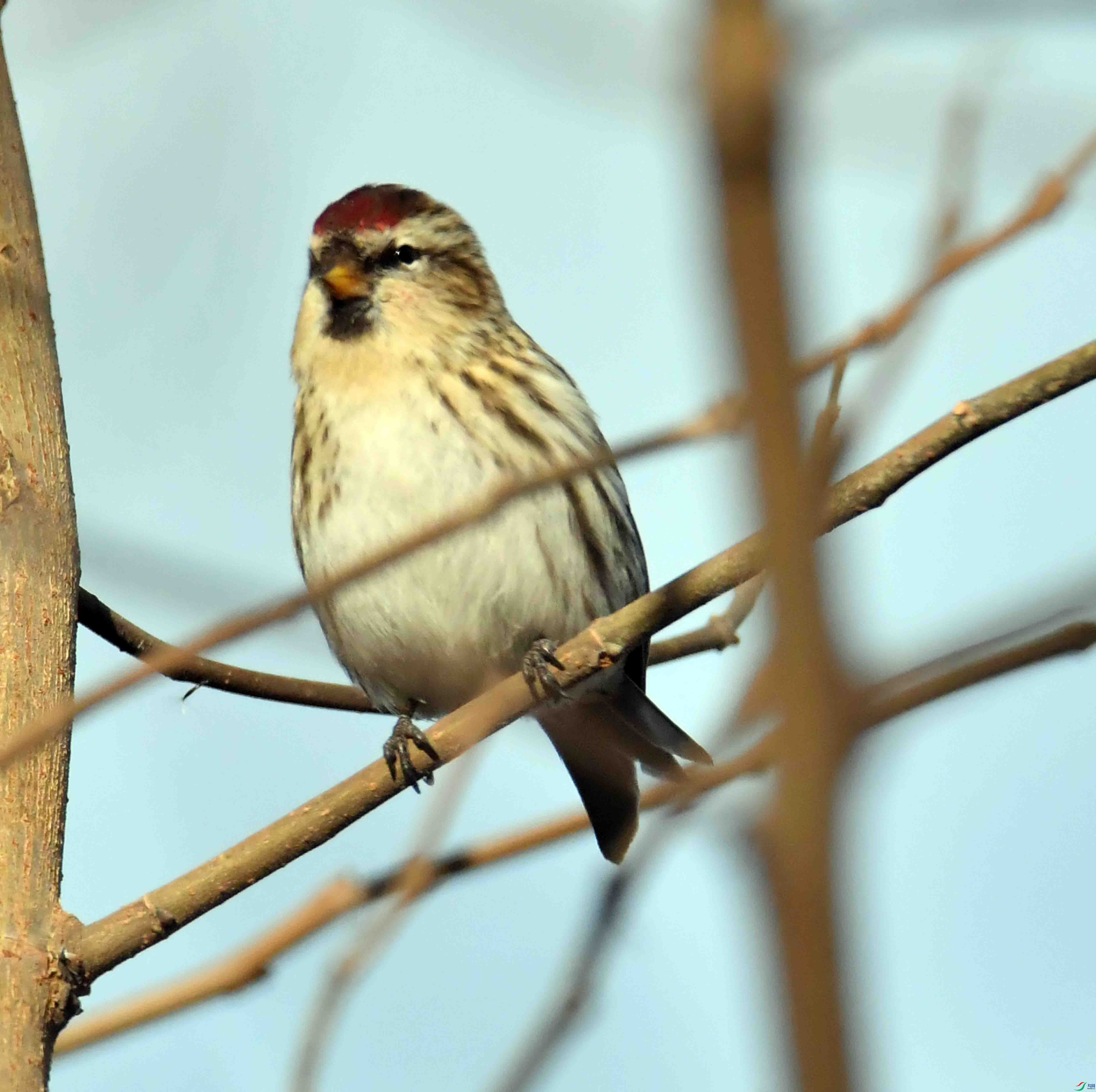 DSC_5906.JPG