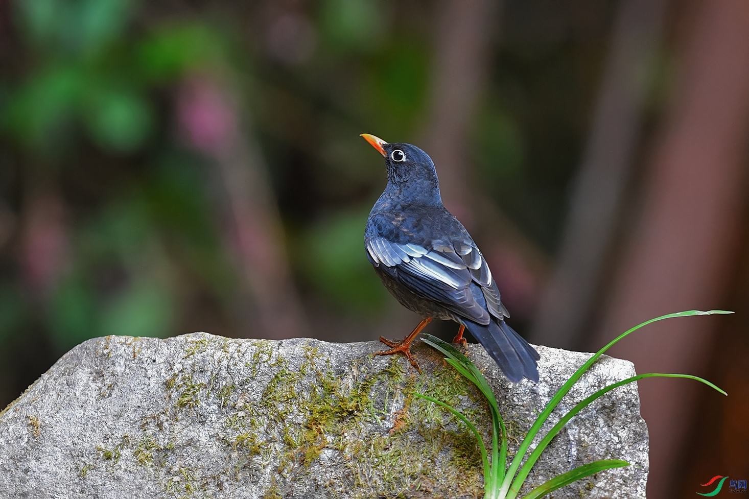4DSC_8939_DxOa.jpg