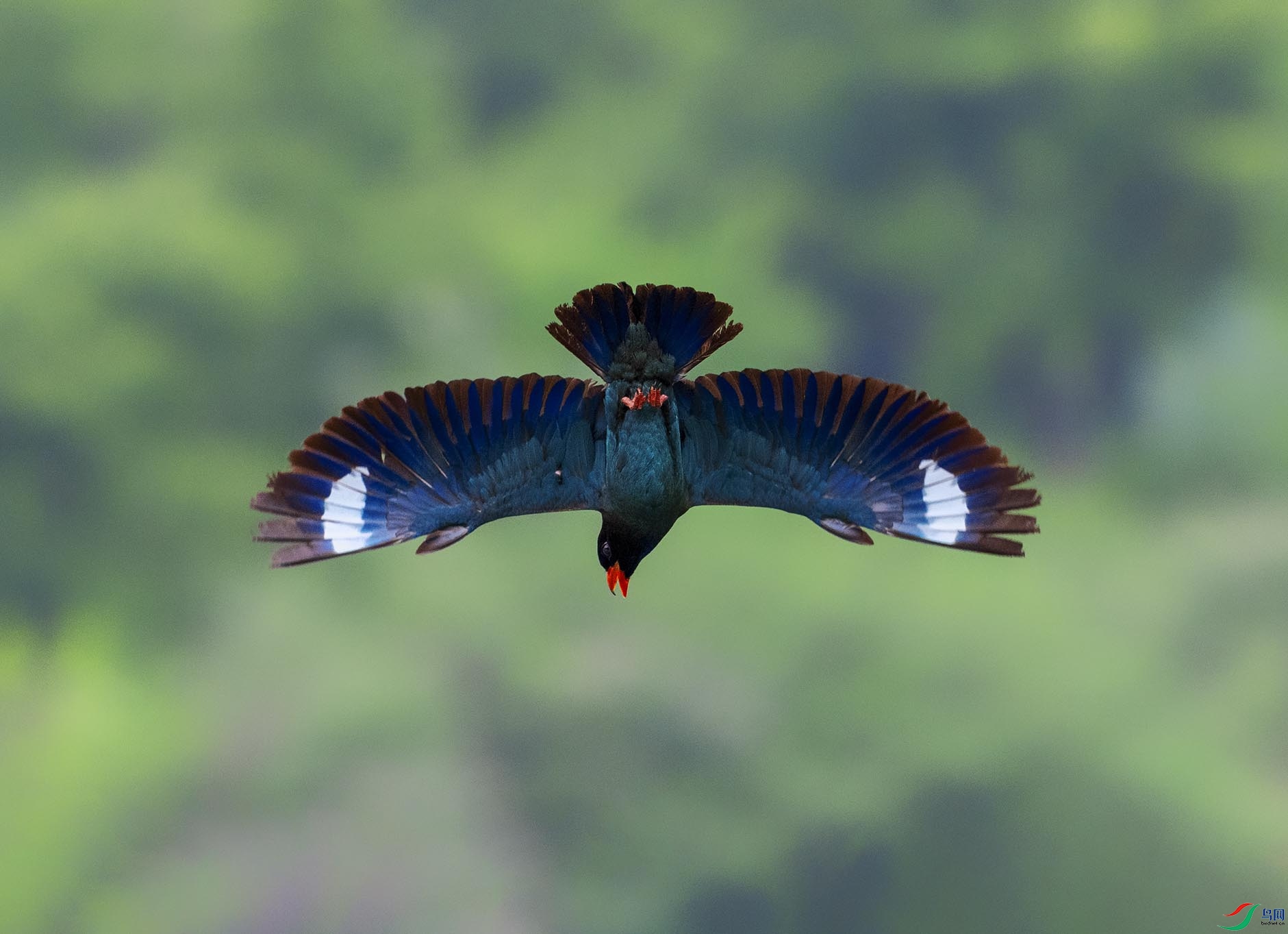 �����ĸ���