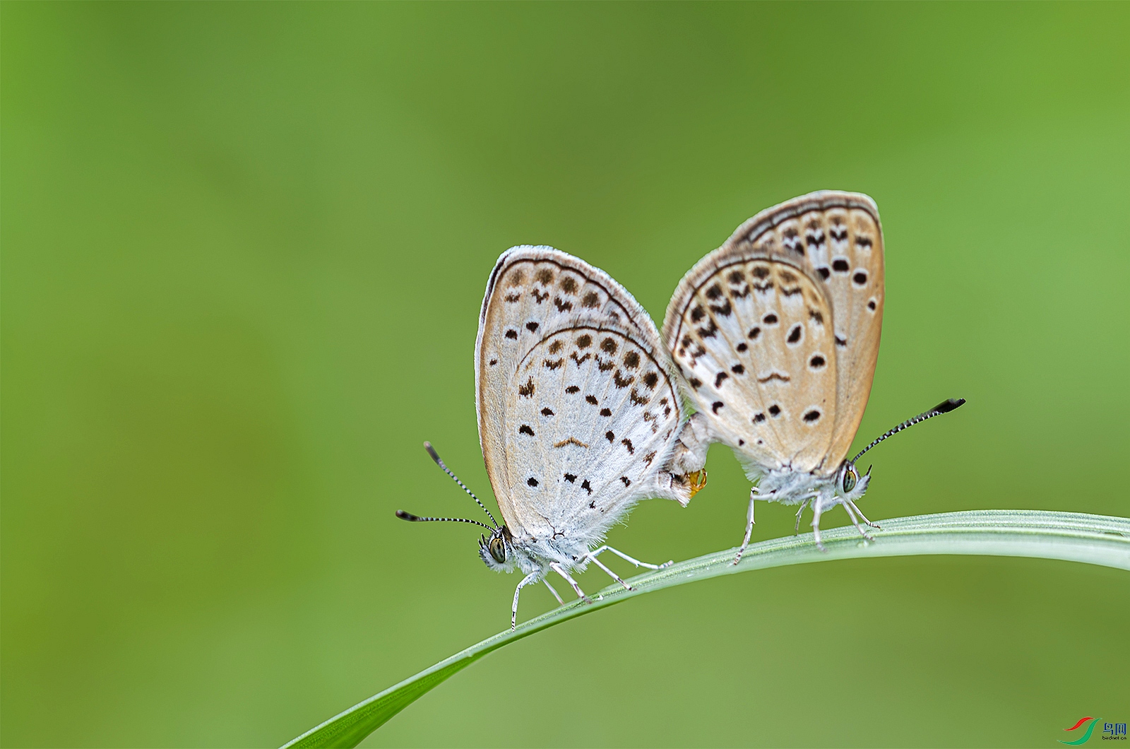 6679-����ǿ-NR-1-1.jpg