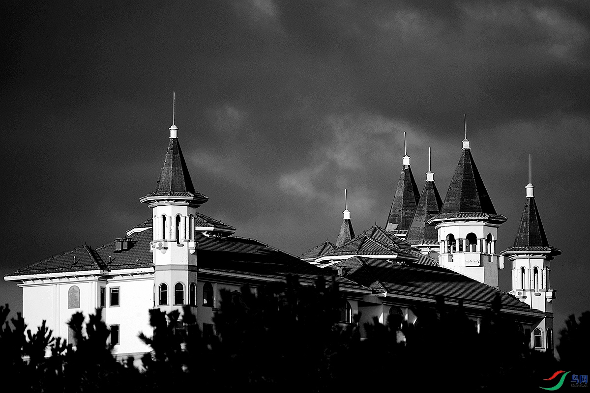 _DSC3639-.jpg