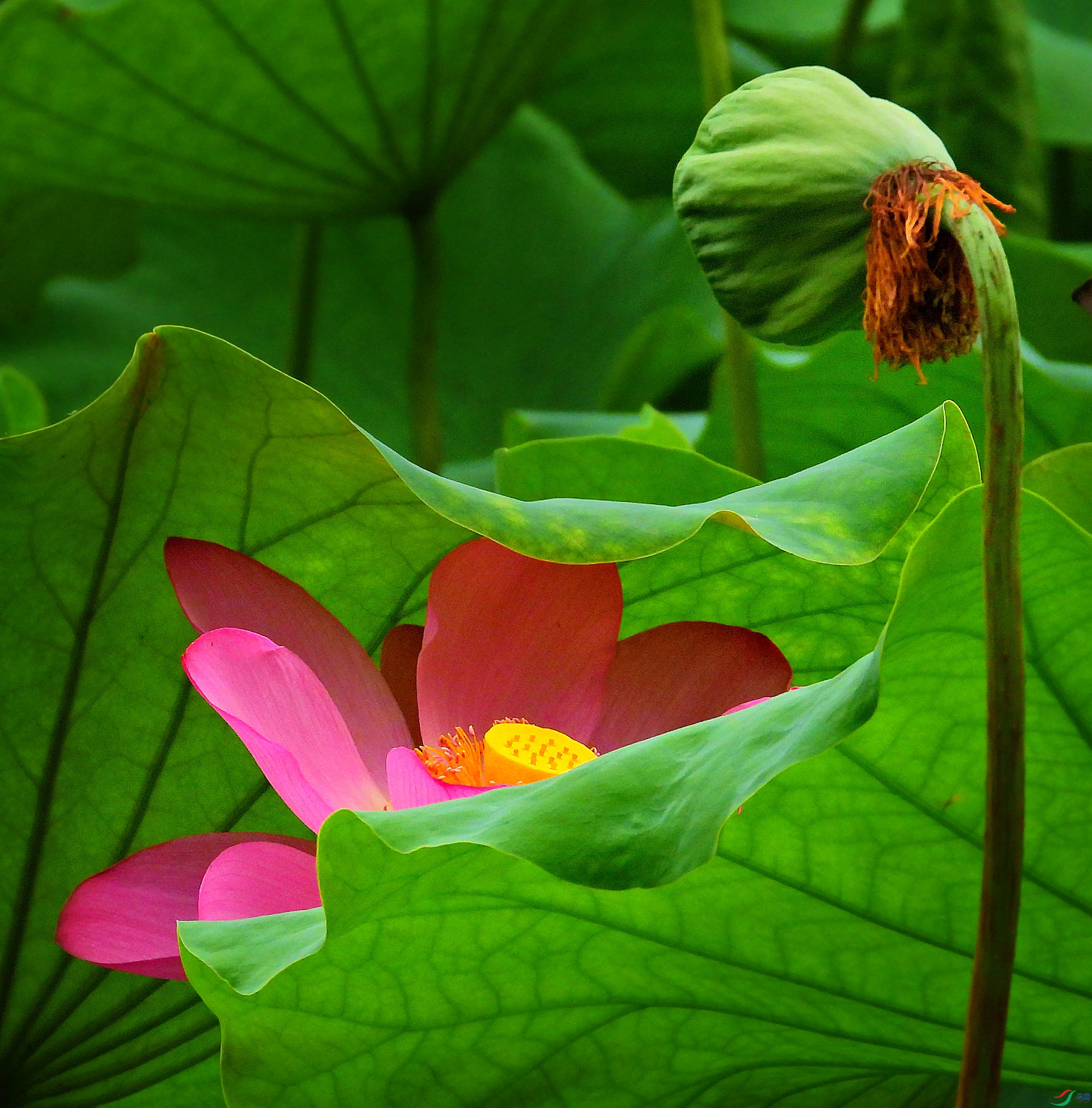 DSCN3536.JPG
