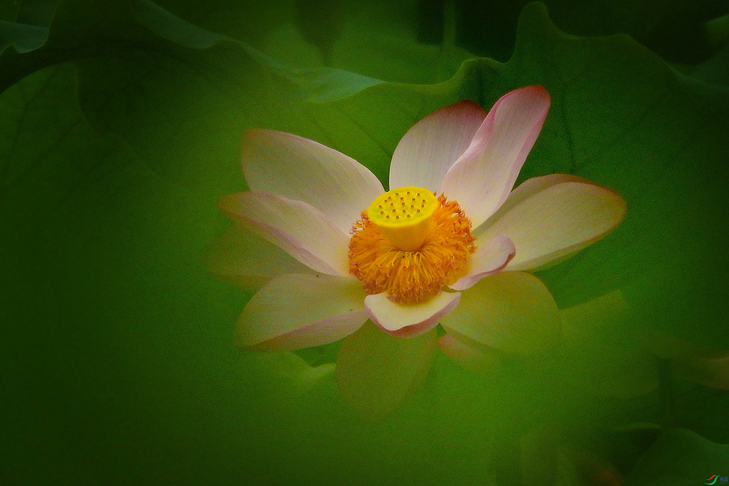 DSCN3539.JPG