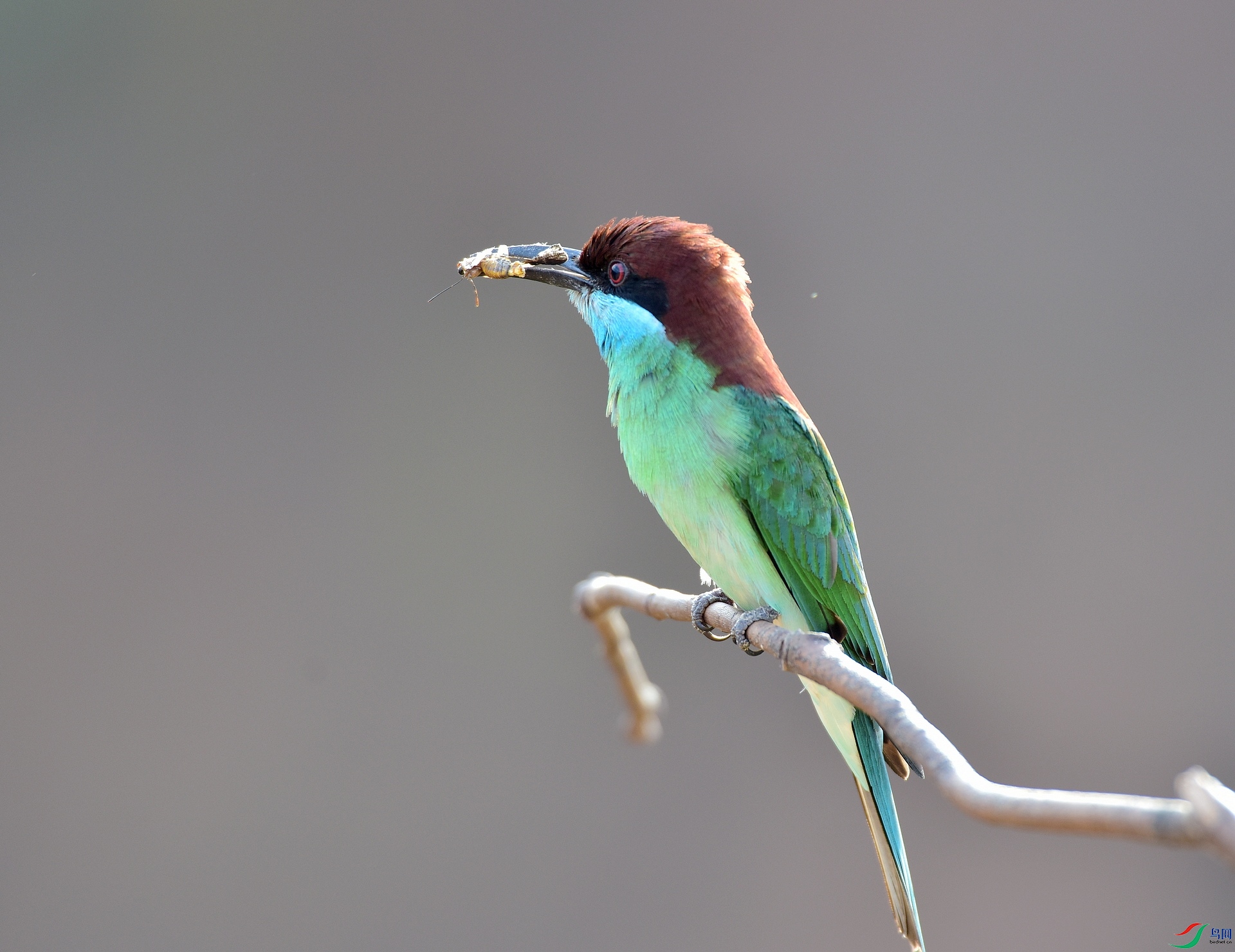 D8I_9219.jpg