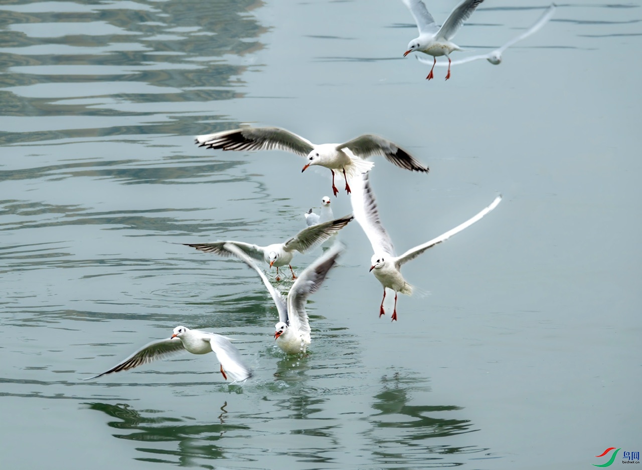 DSC00891-����ǿ ����.jpeg