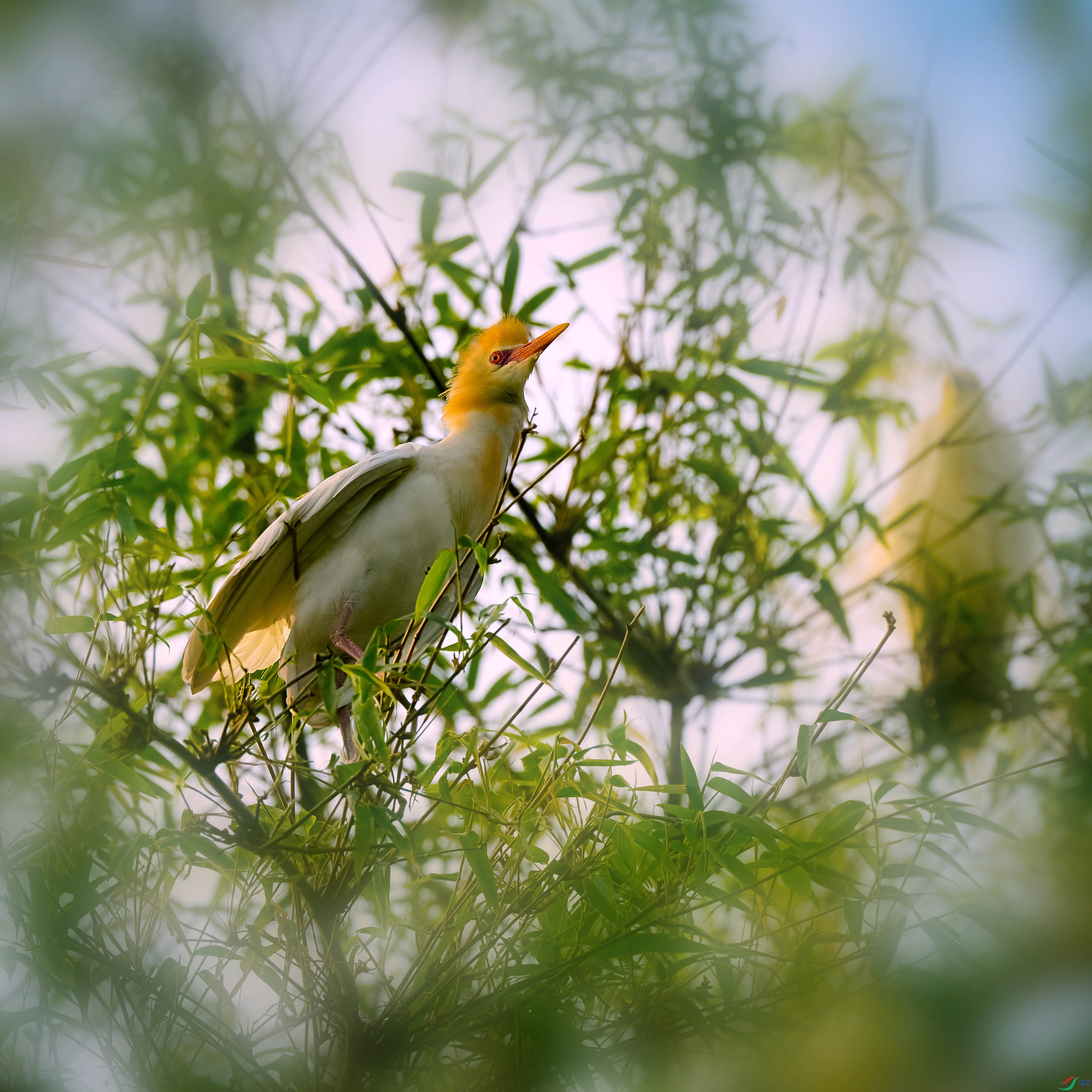 DSC_1603.jpg