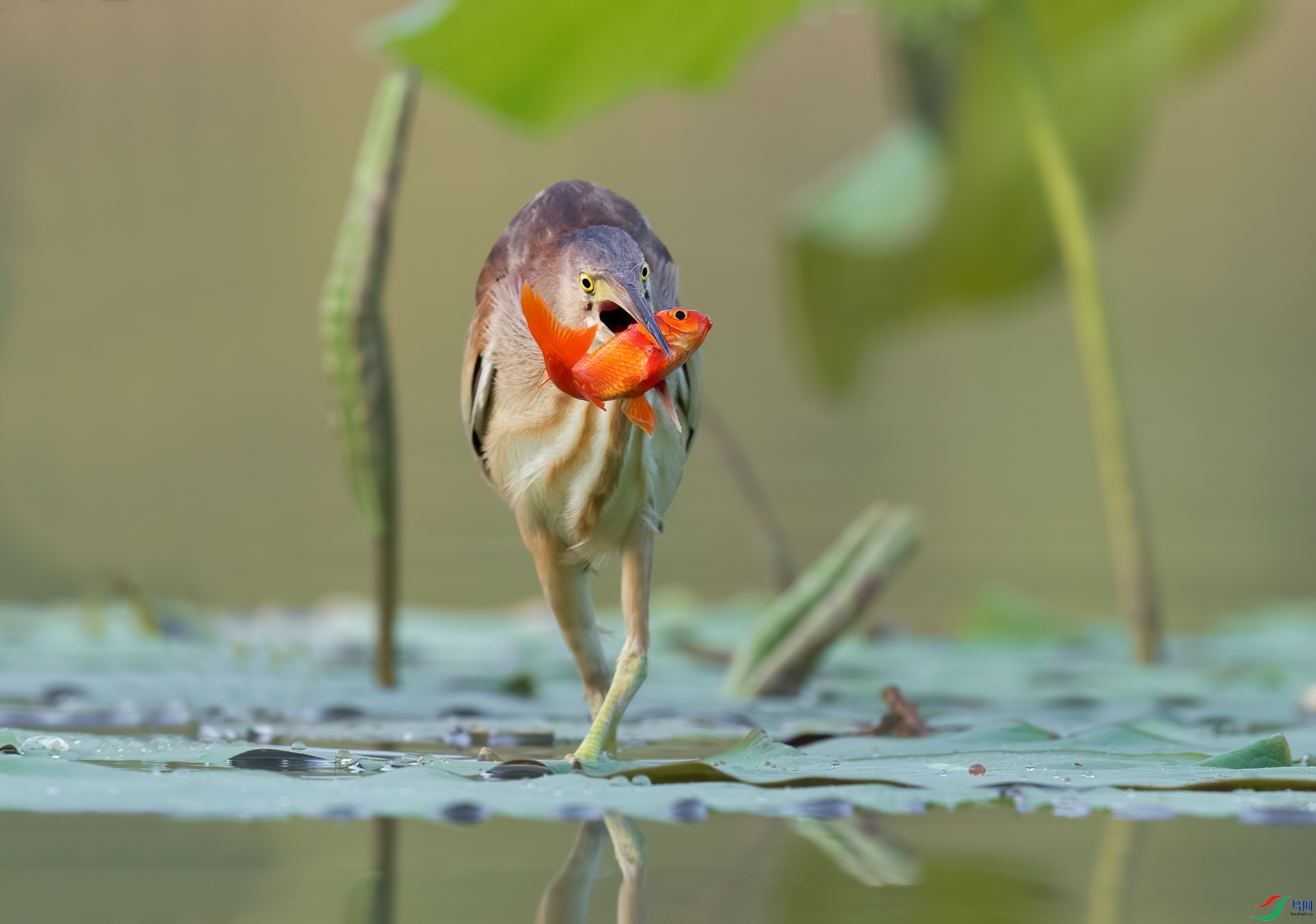 һ����ɫ����.jpg