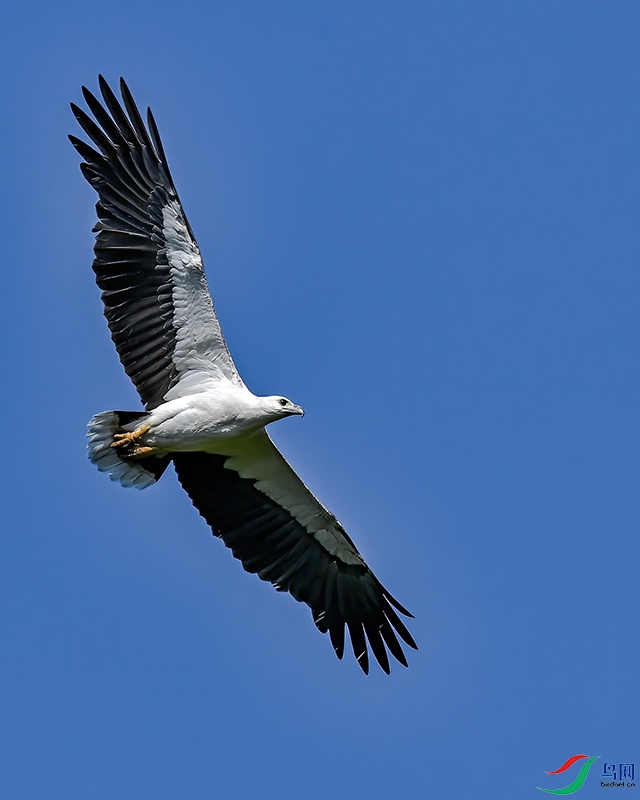 DSC_7719.jpg
