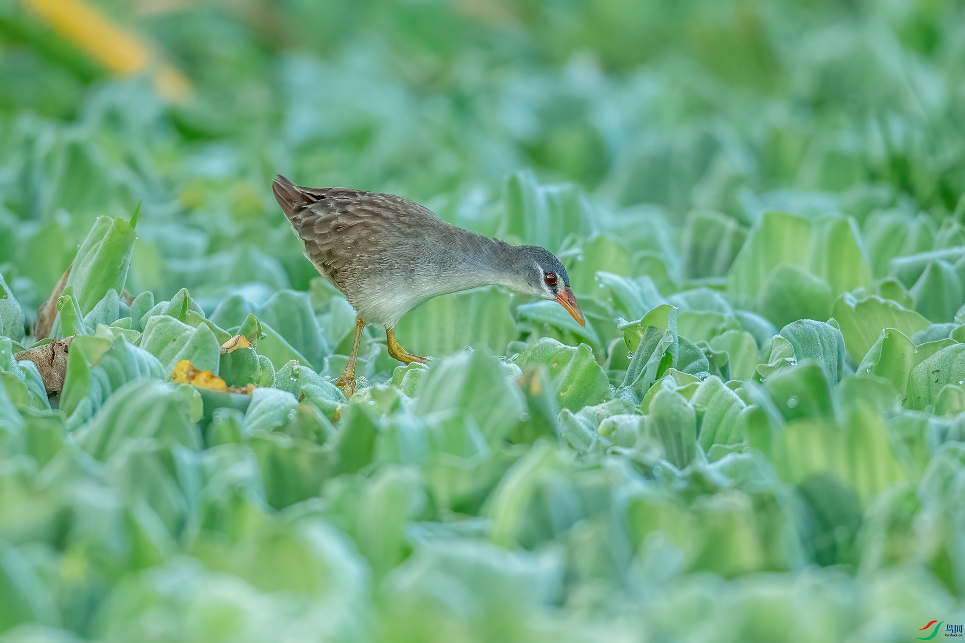 DSC_5897.jpg
