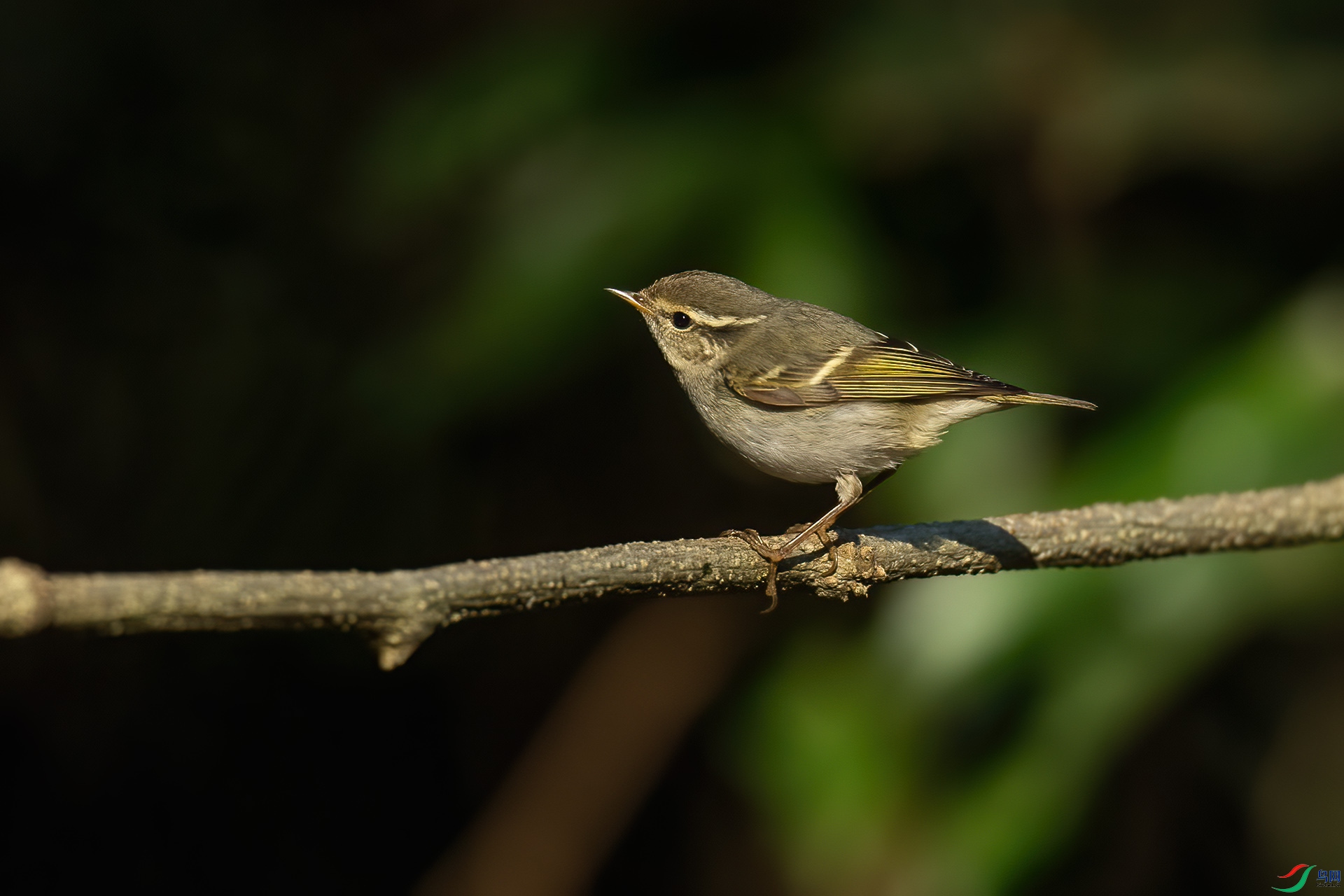 DSC_4627.jpg