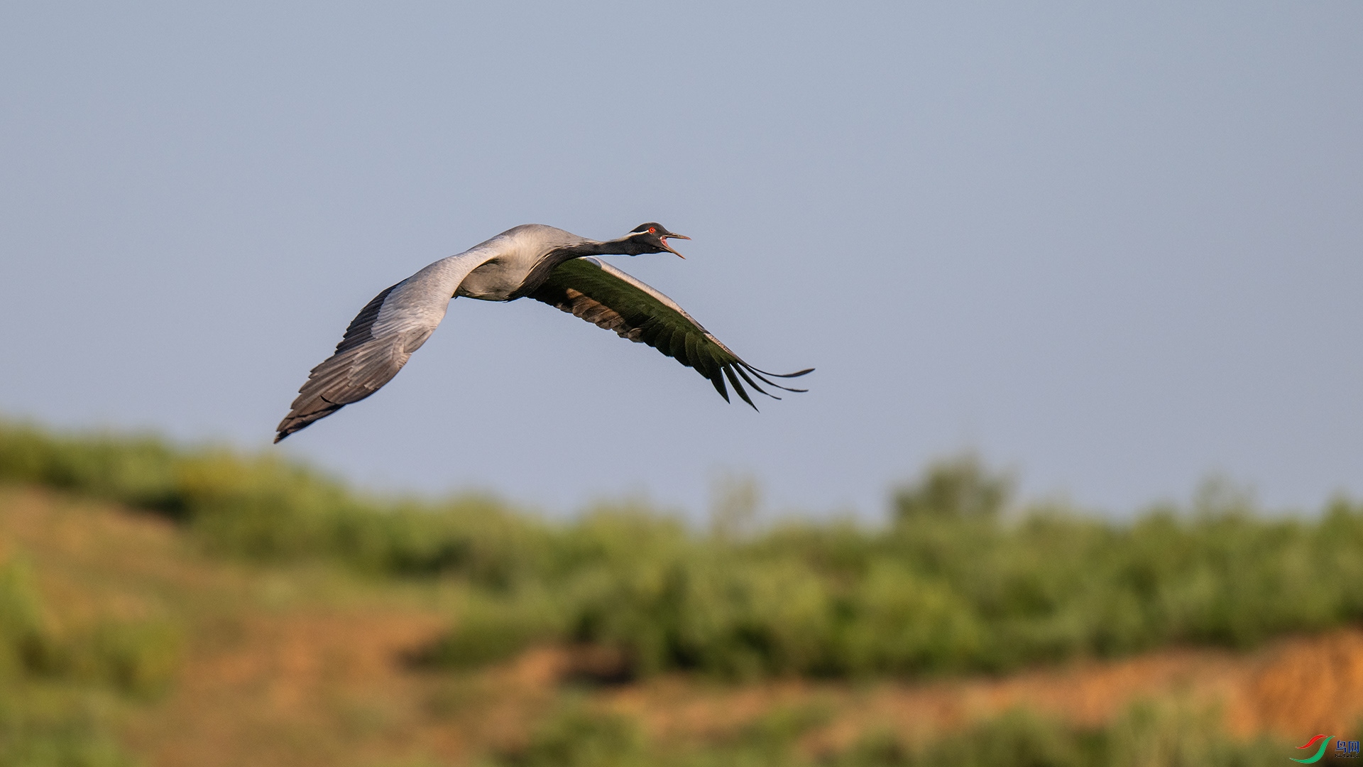 DSC_8463.jpg