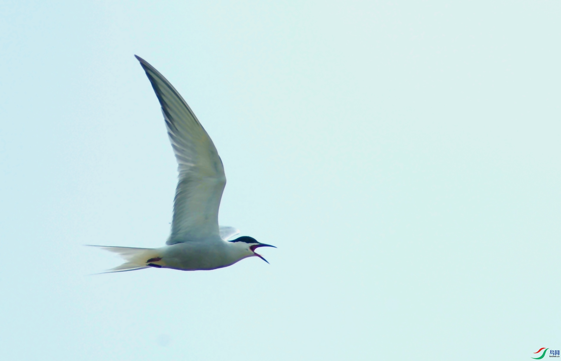 DSC_1073_.jpg