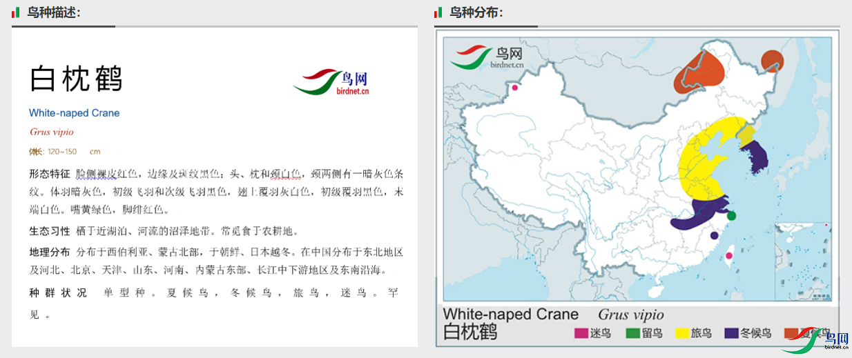 42c5e9231d6f1eaa3b1ea6ed190ee06.png