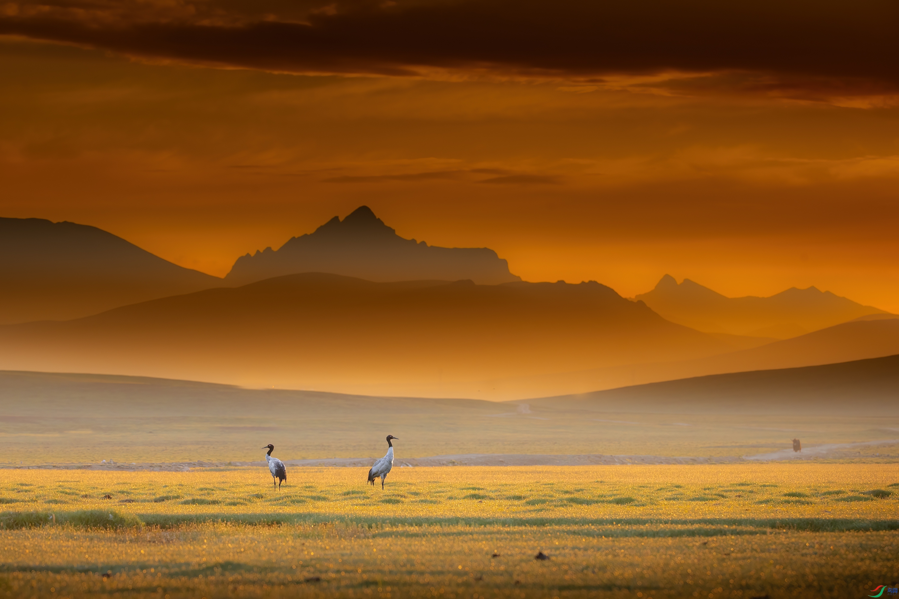 A15I5977 ����.jpg