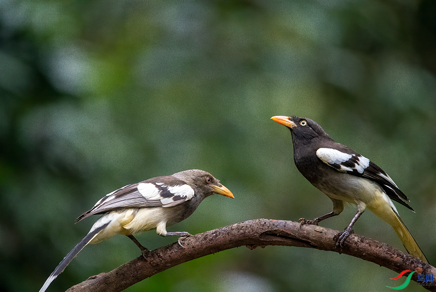 DSC_6581.png