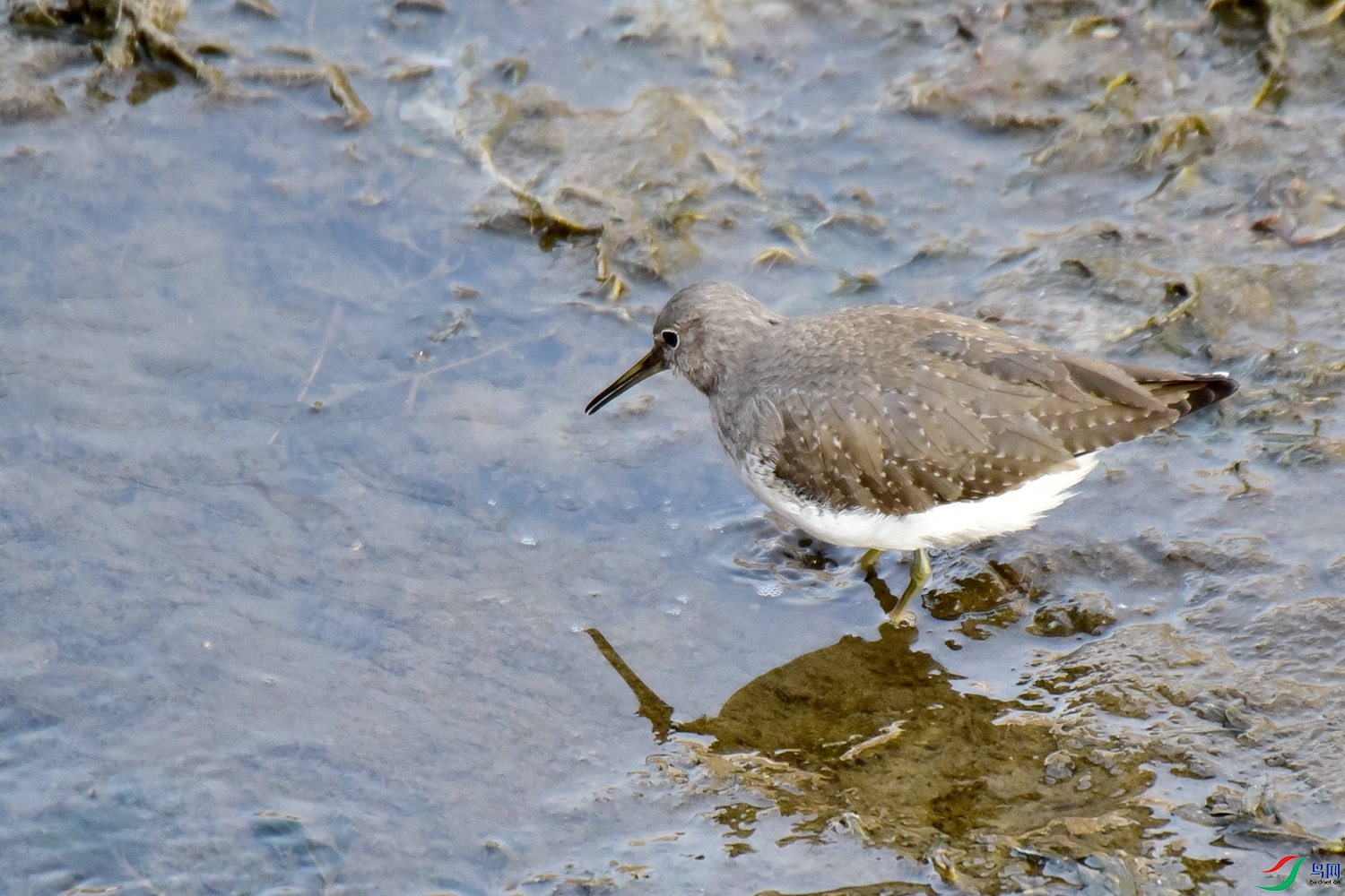 DSC_4300.JPG