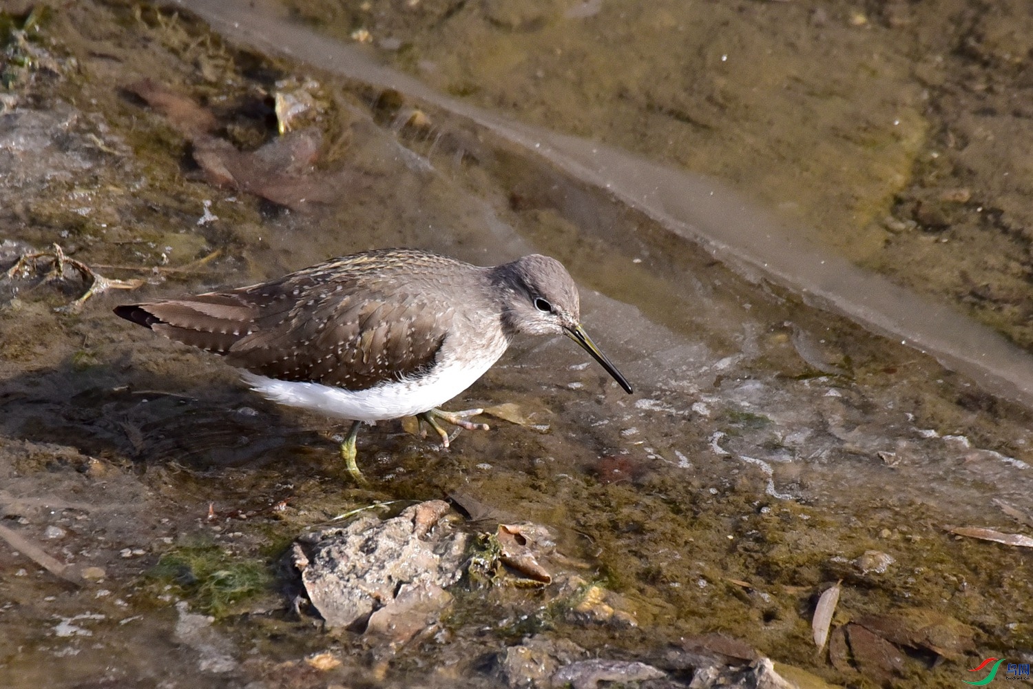 DSC_3989.JPG