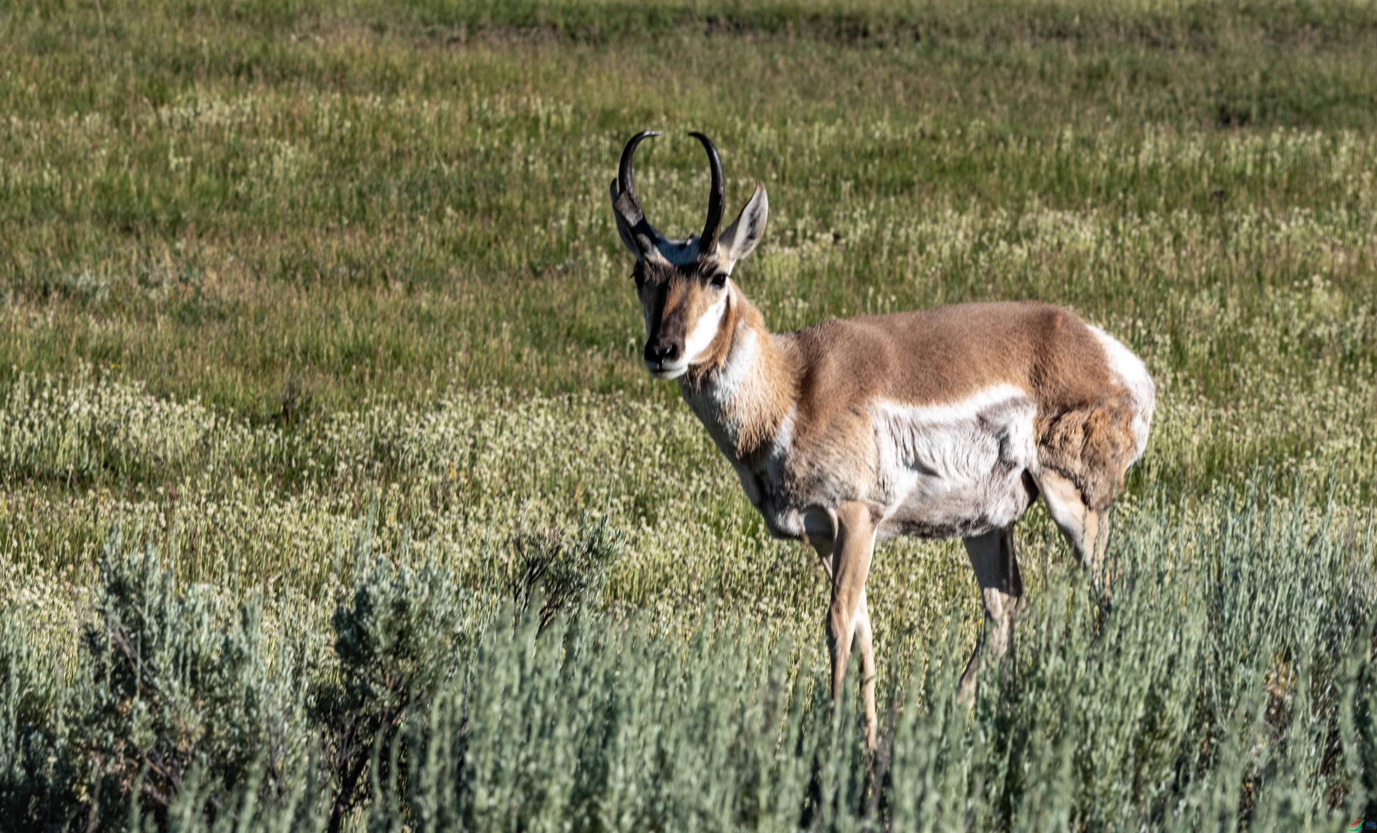 DSC_8208 ����2.jpg