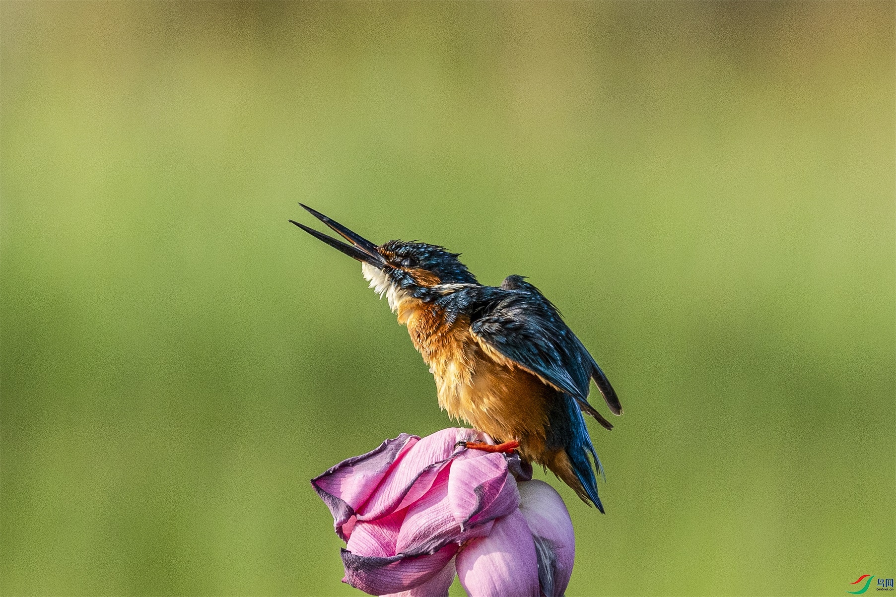 1K3A9944 ����1.jpg