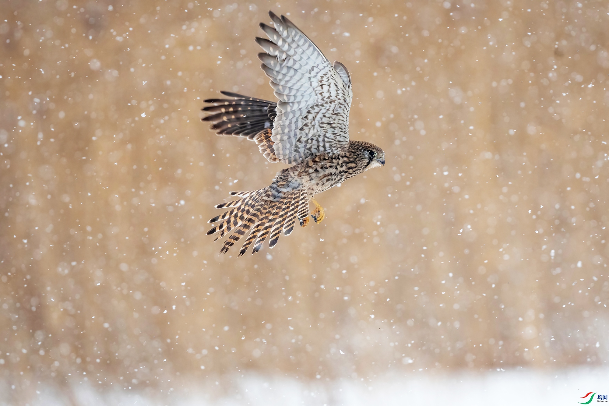 DSC_6835 V.jpg