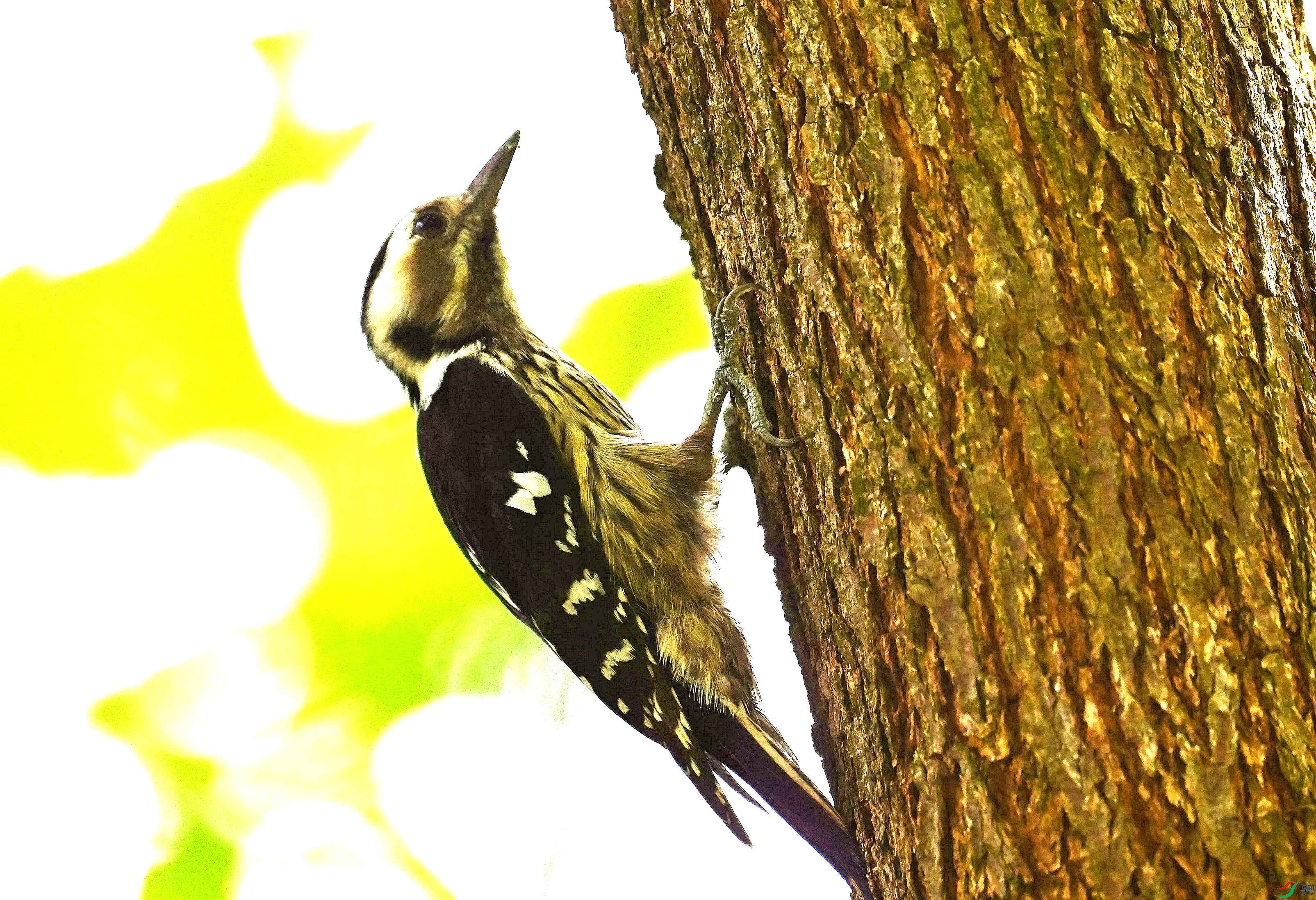 DSC_0430_����.jpg