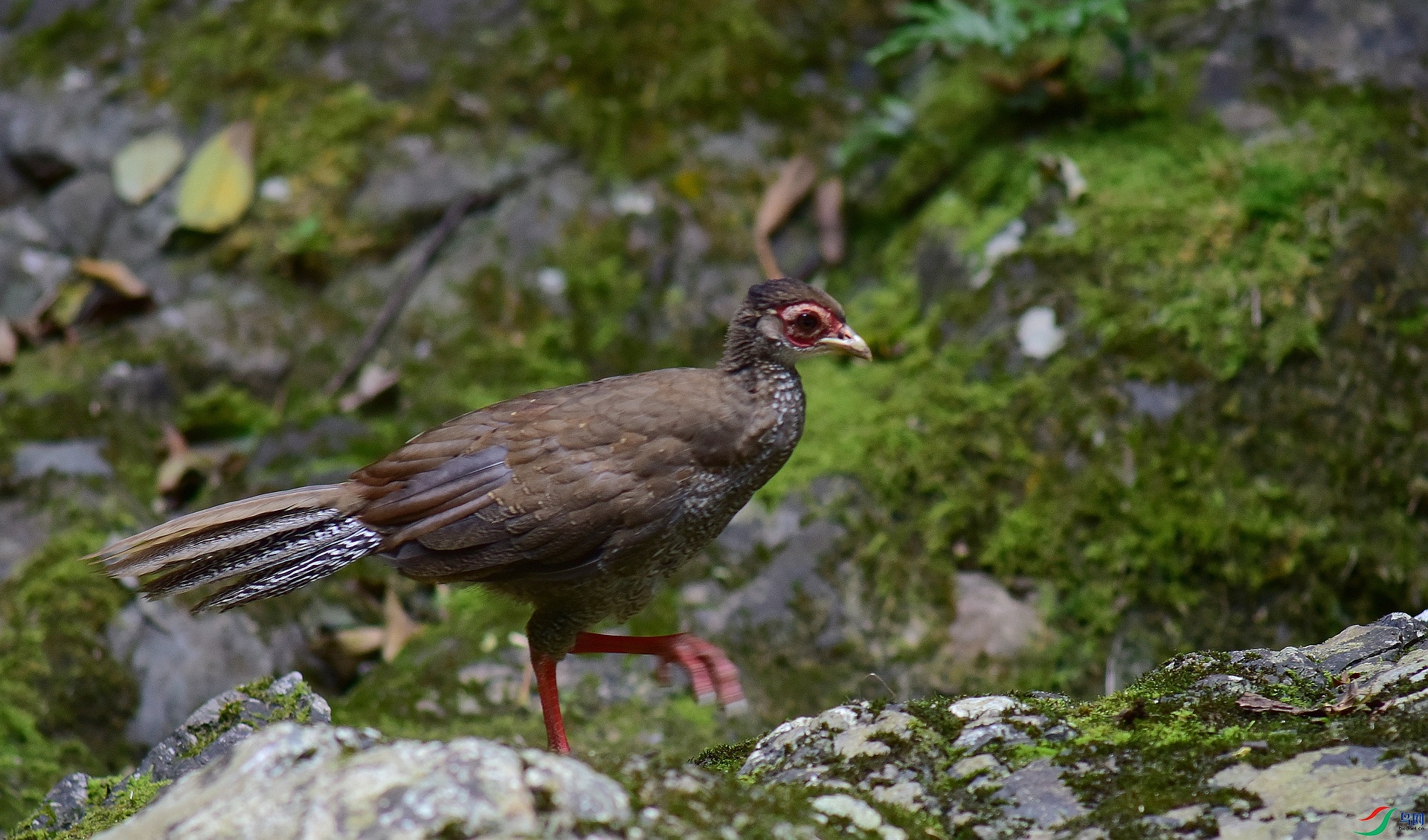 D8I_5925.jpg