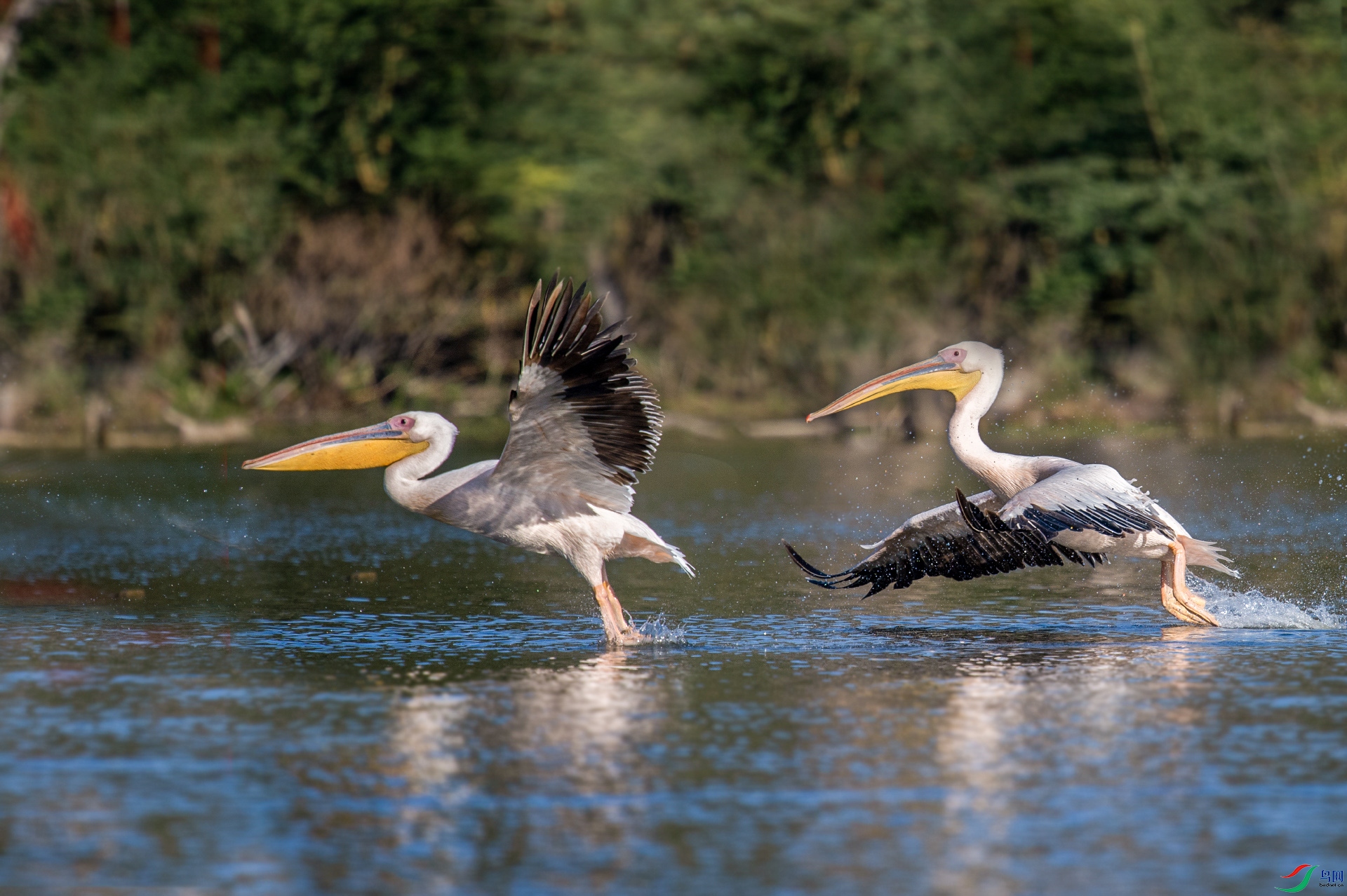 DSC_6273 ����..jpg