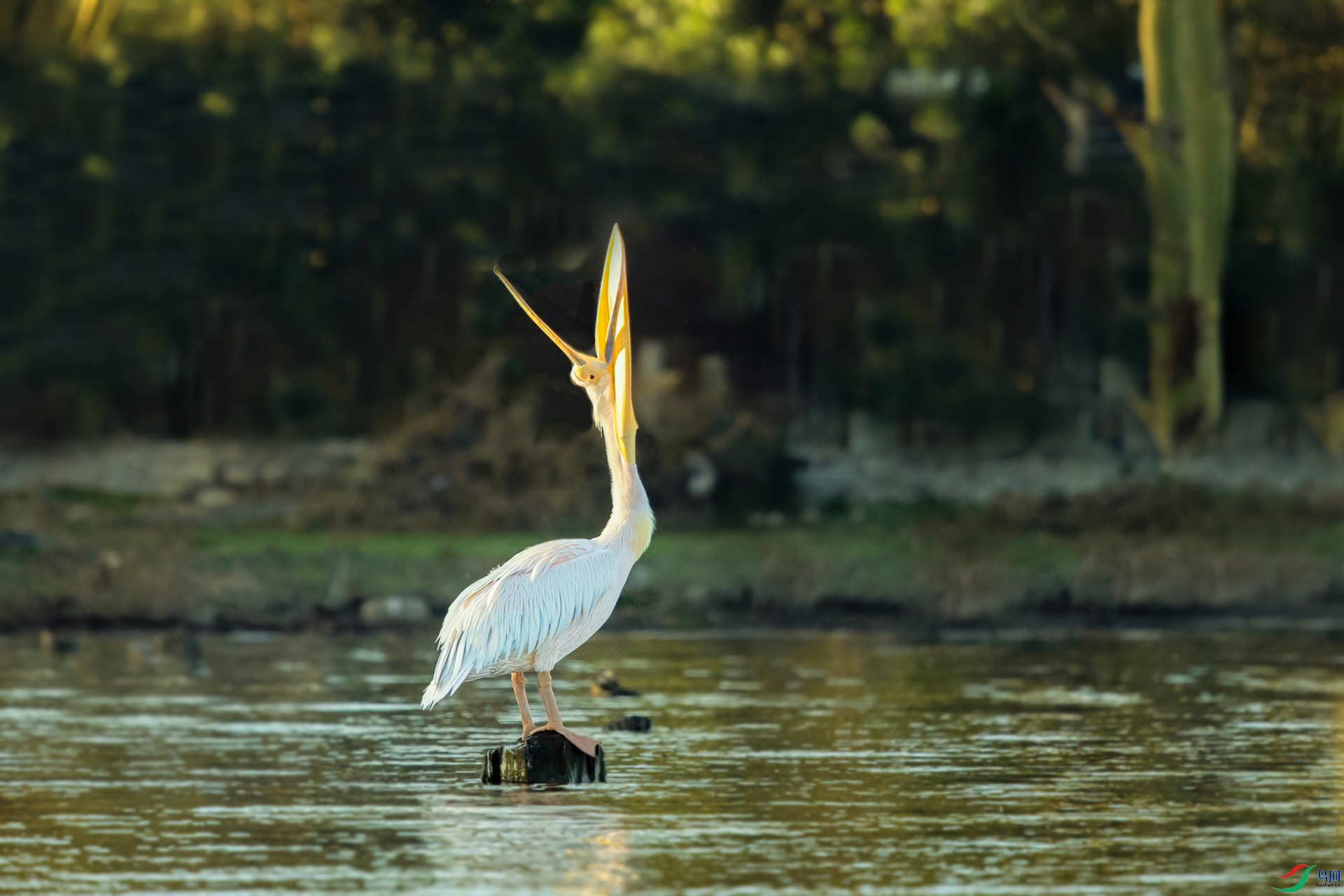 DSC_5619 ���� 2..jpg