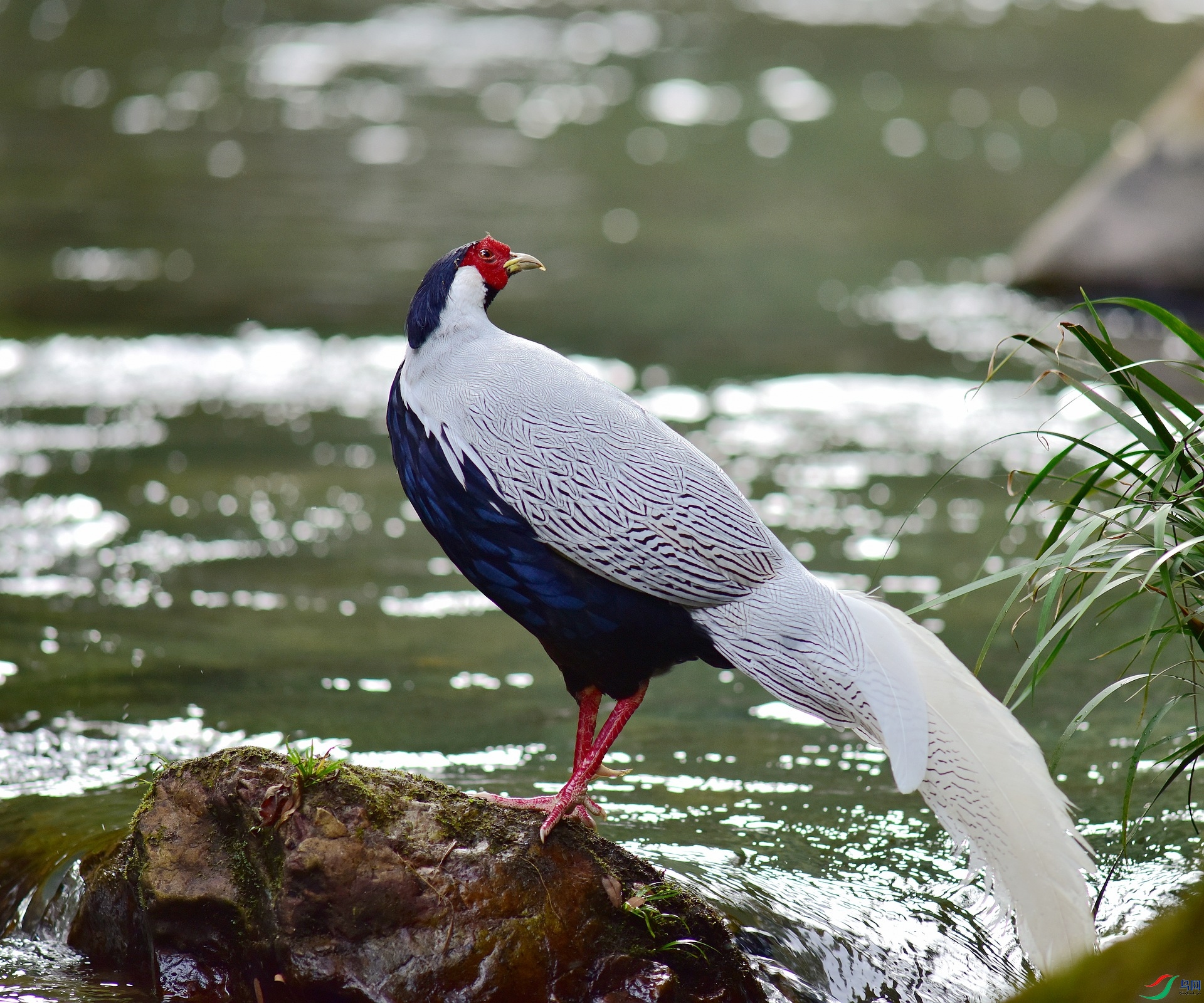 D8I_0661.jpg