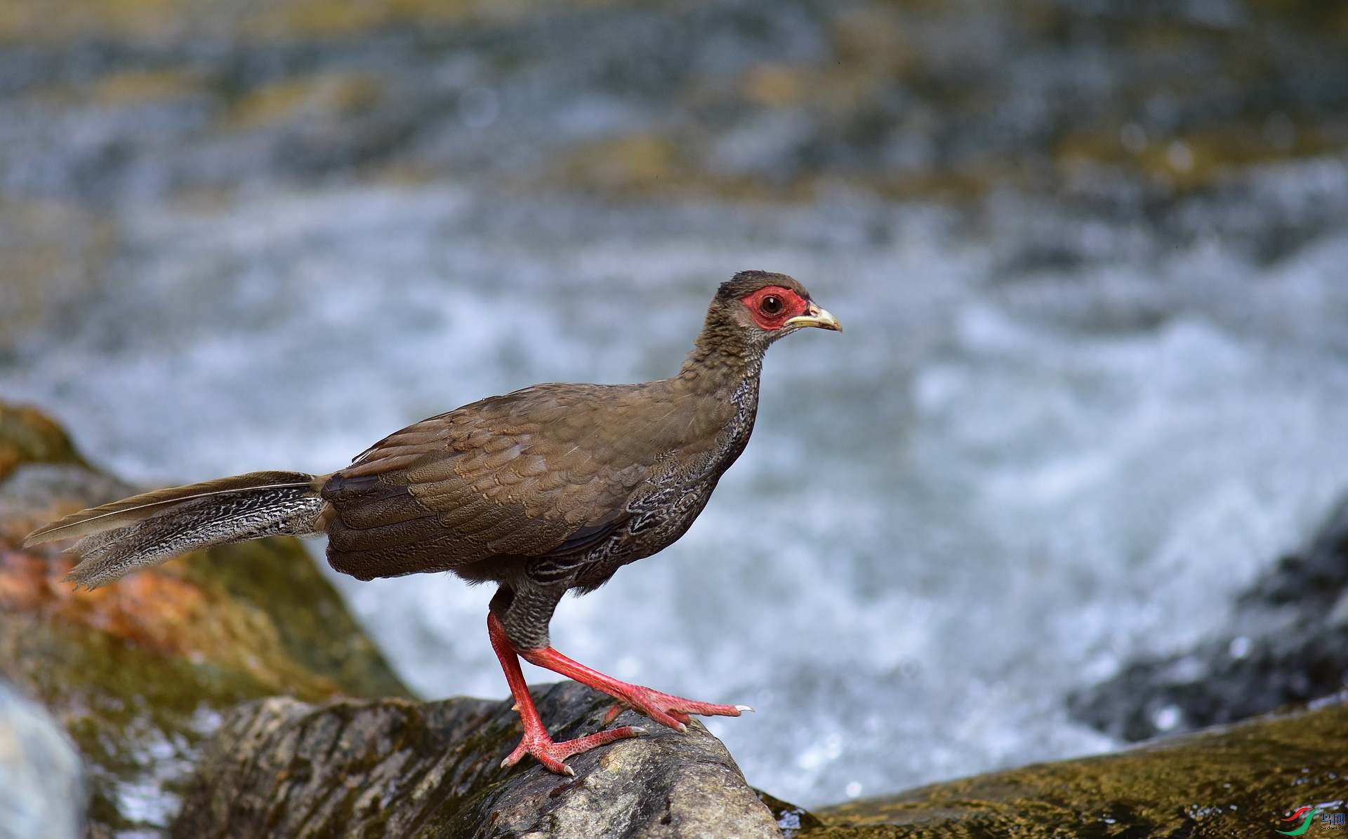 D8I_0247.jpg