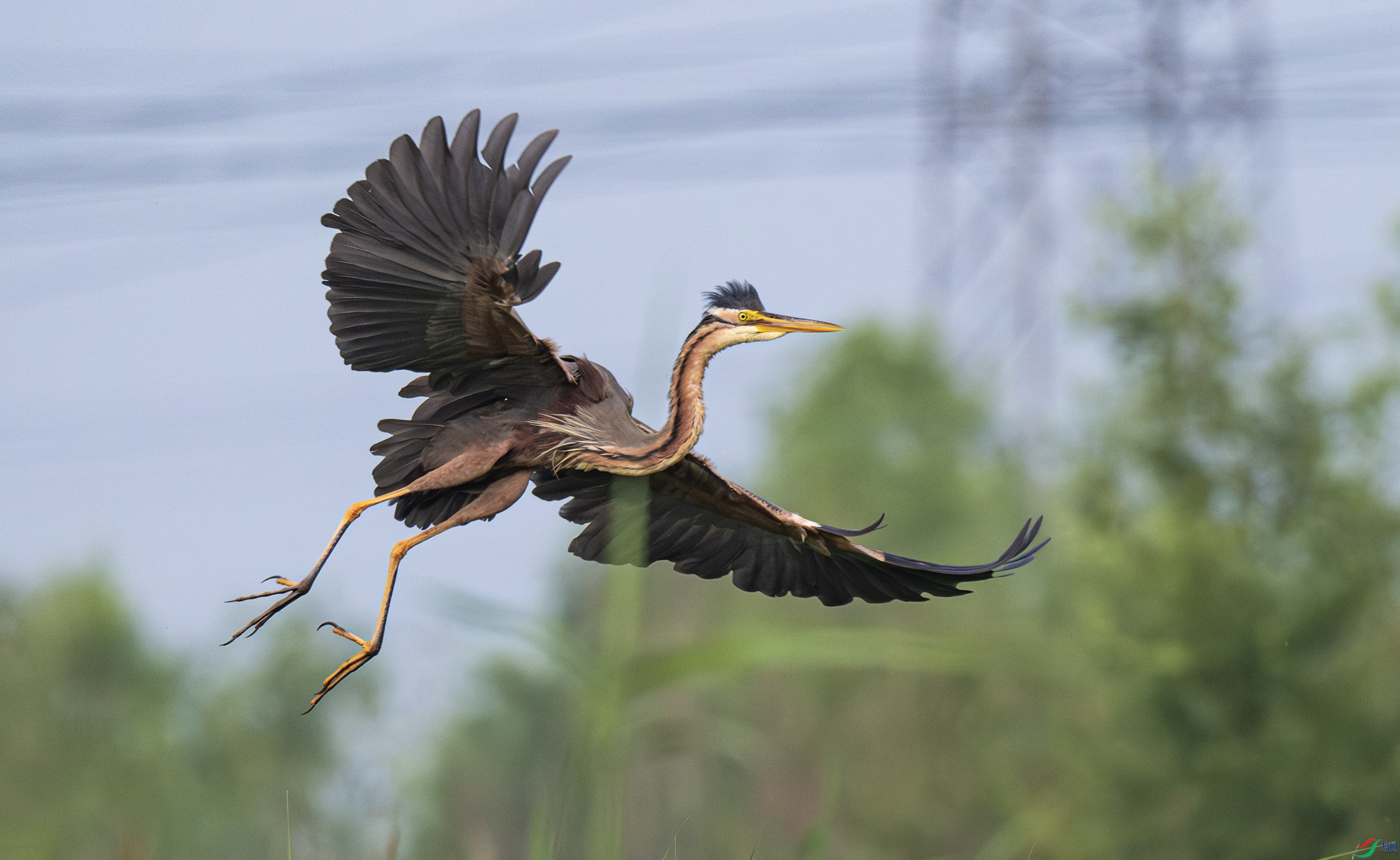 ����