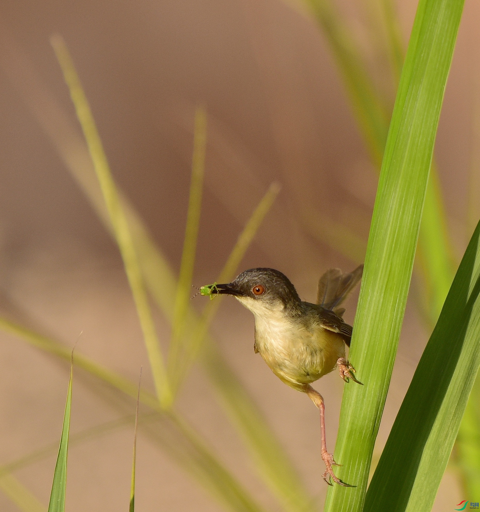 D8I_9572.jpg