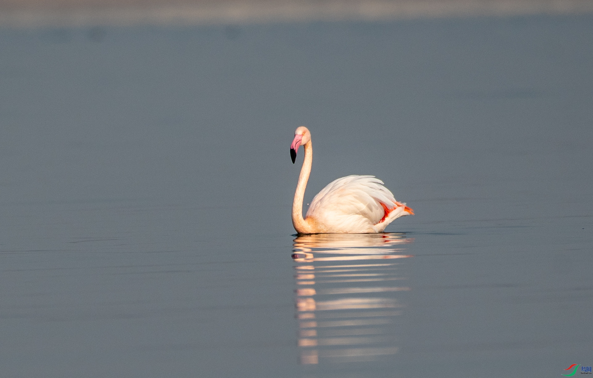 DSC_7576.jpg