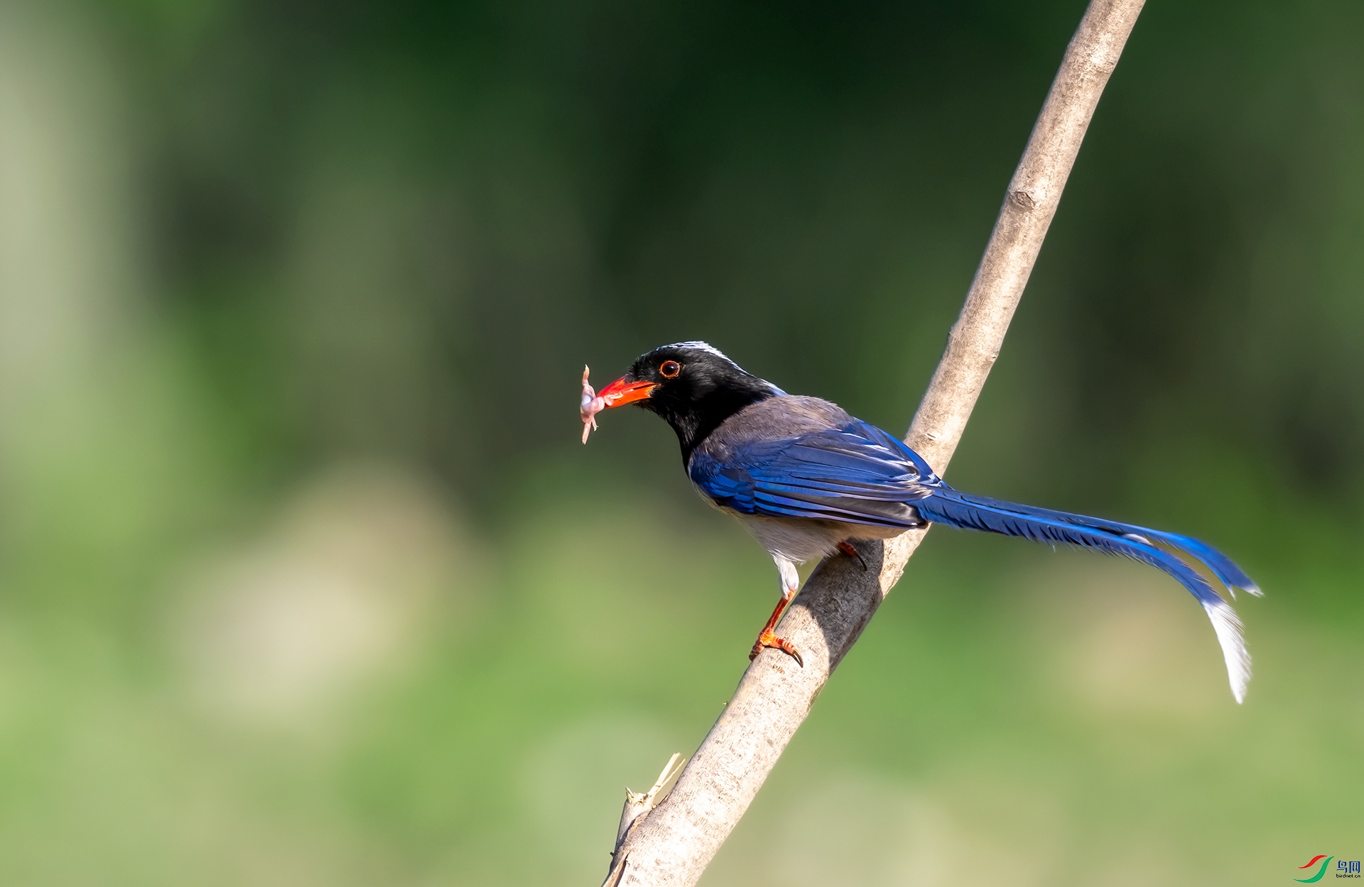 DSC_5535-1.jpg