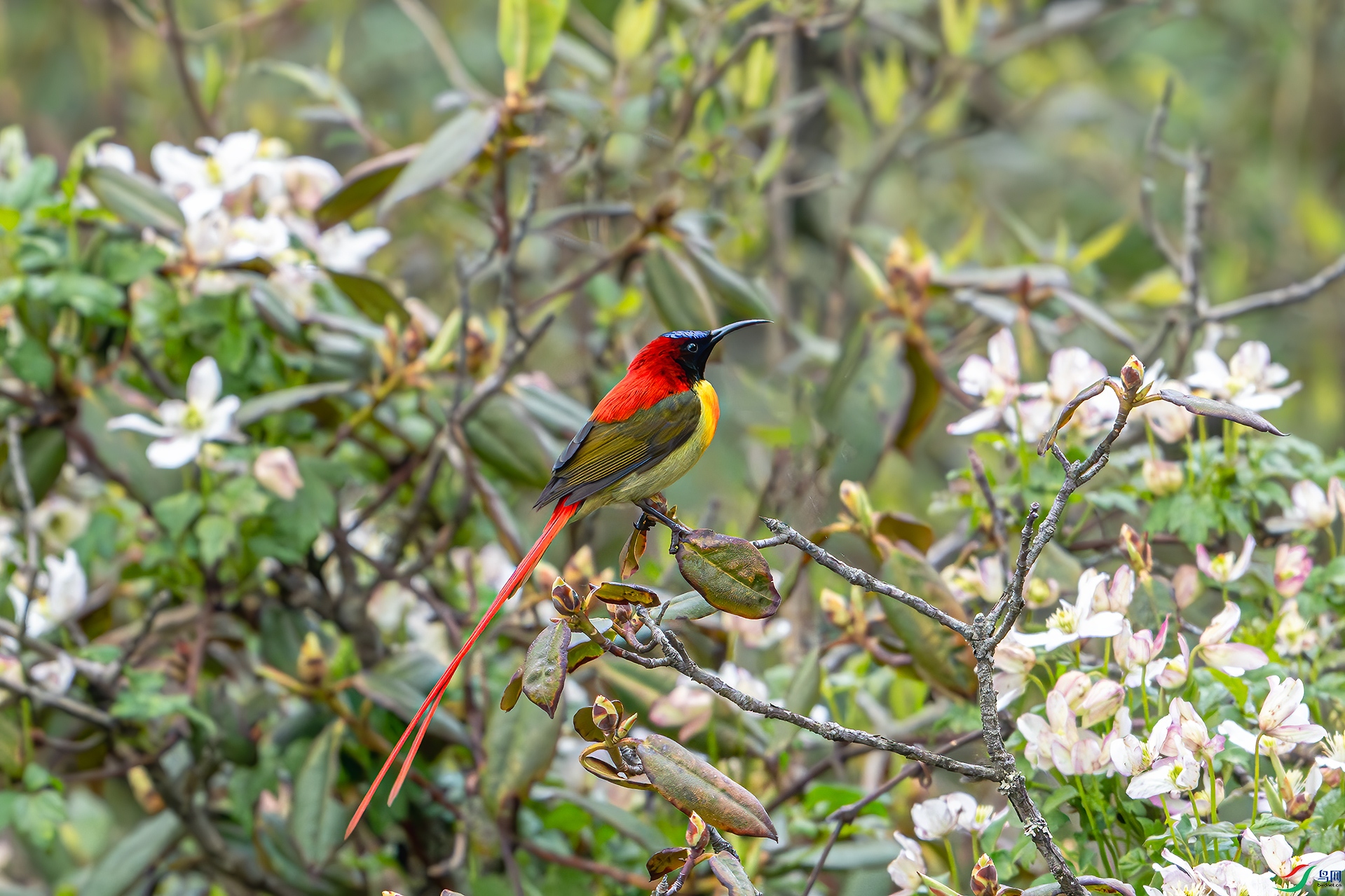 DSC_1119.jpg