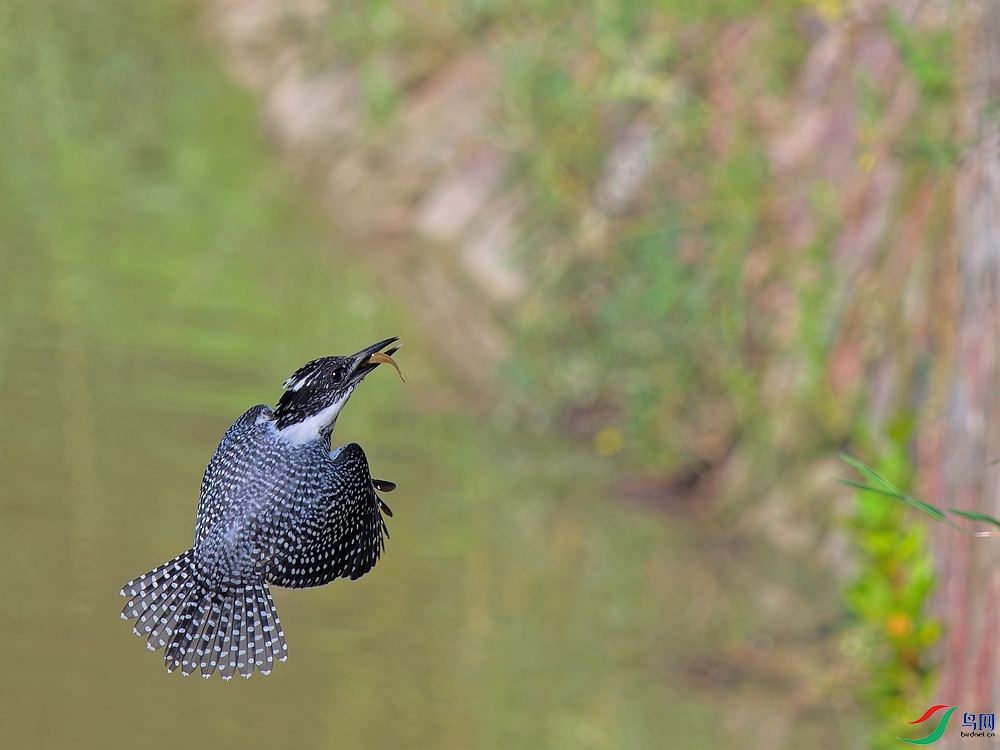 P7180671_DxO - ����.jpg