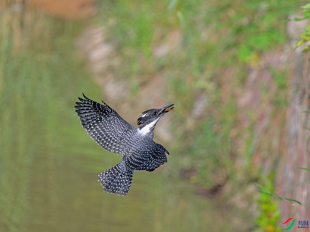 P7180672_DxO-1 - ����.jpg