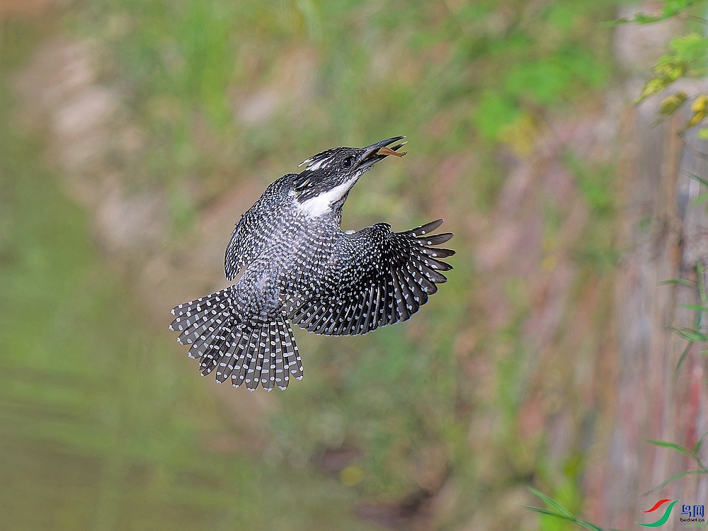 P7180673_DxO - ����.jpg