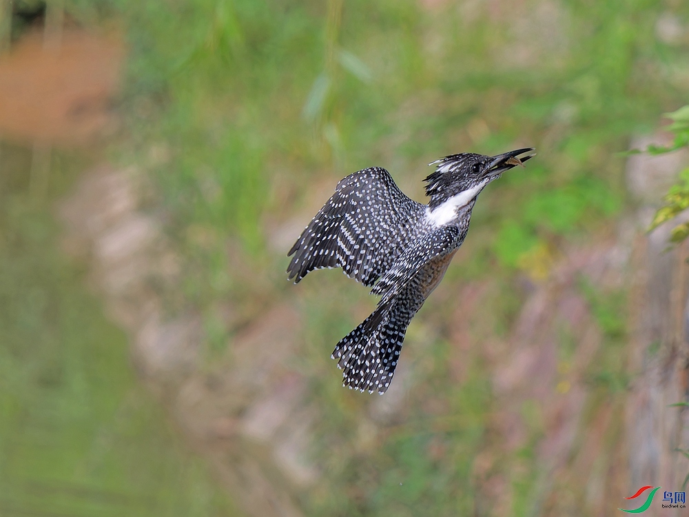 P7180674_DxO - ����.jpg