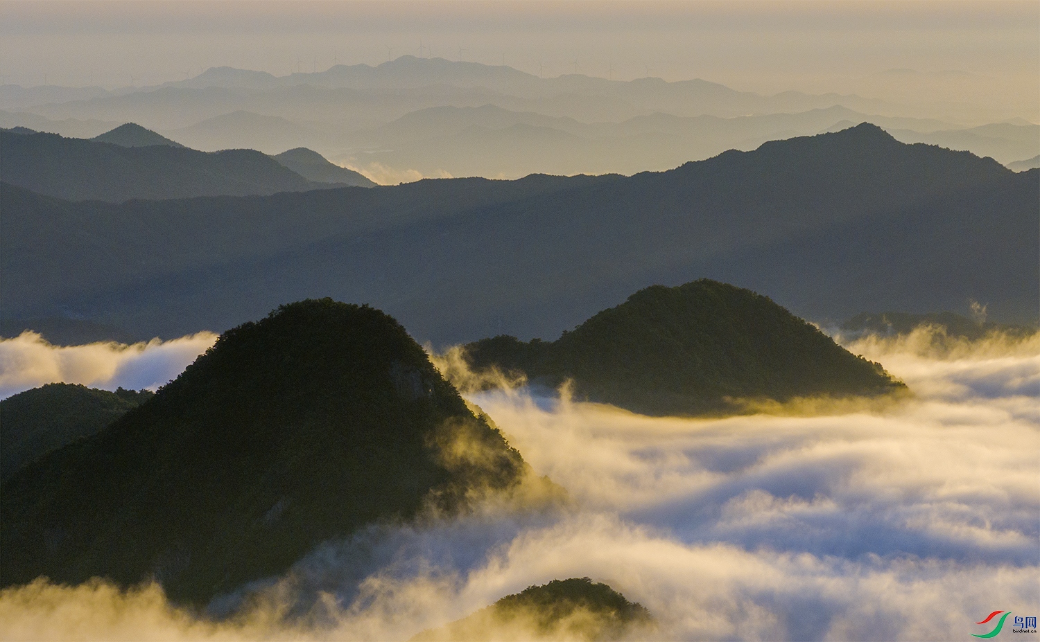 DJI_20240615214405_0075_D ����.jpg