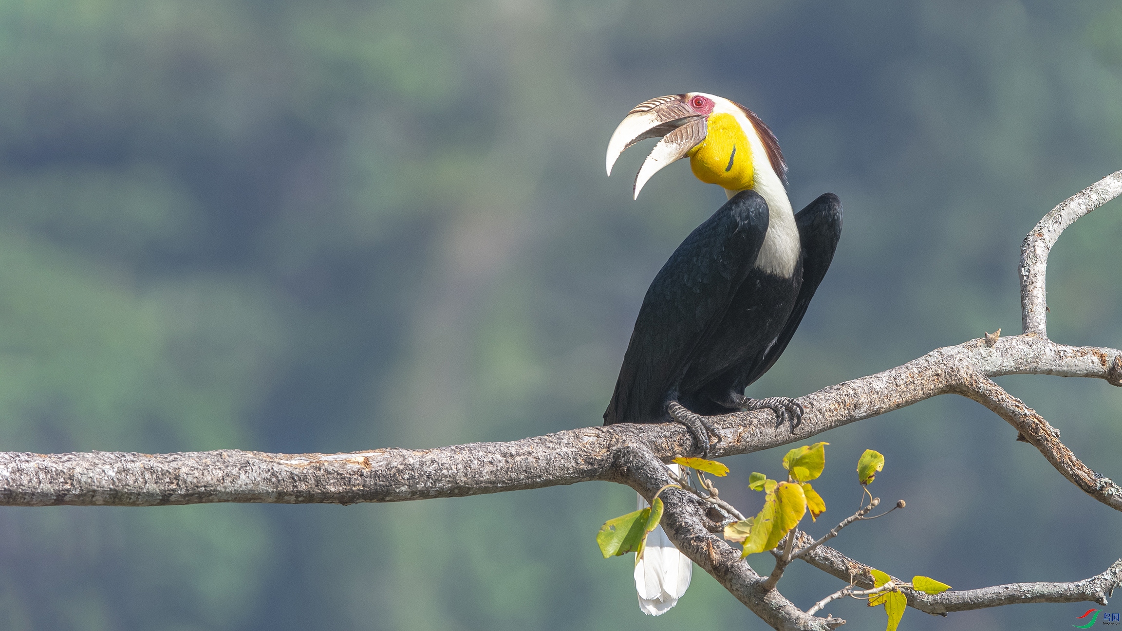 9034 ���� 2.jpg