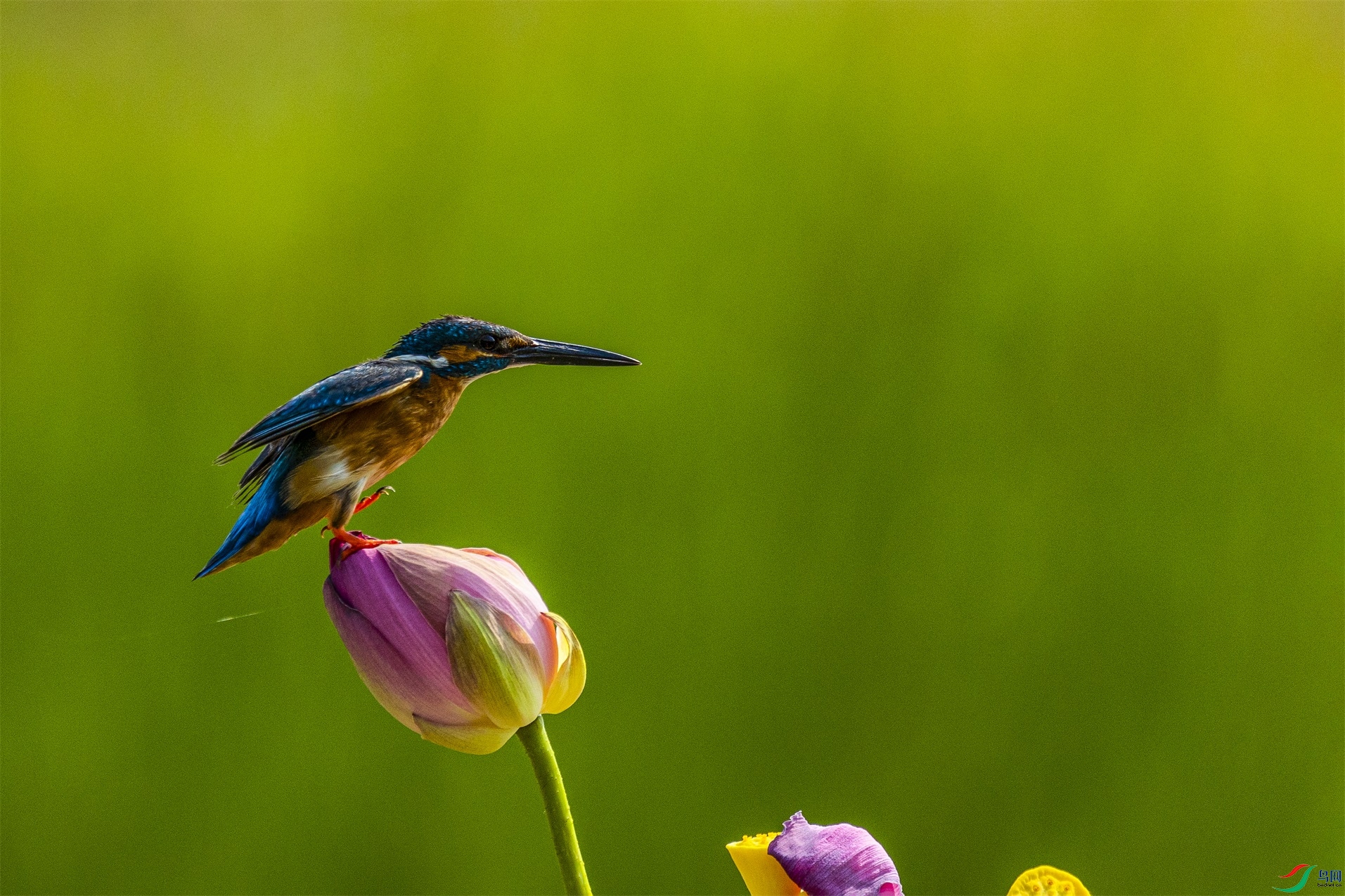 1K3A0746 ����1.jpg