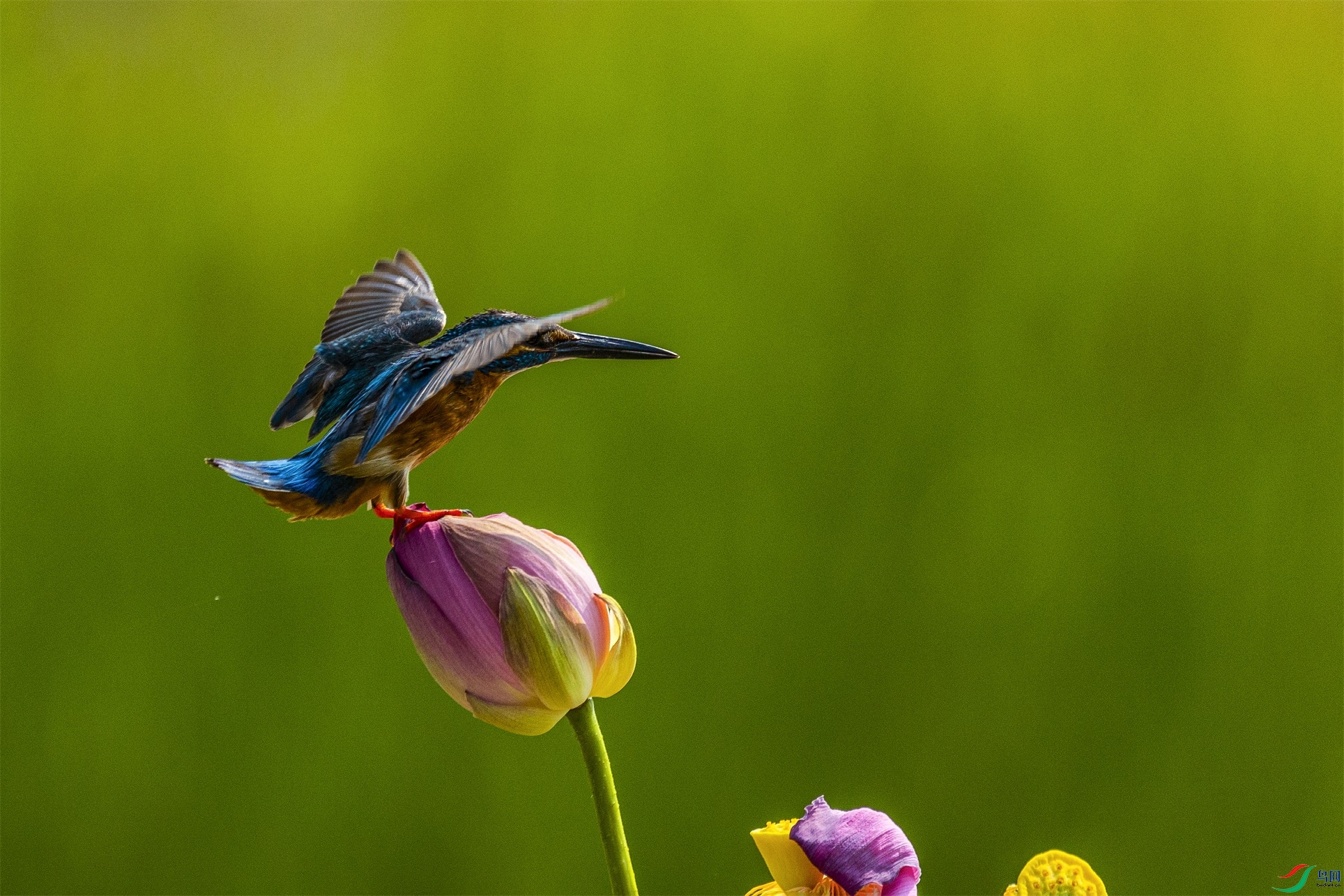 1K3A0745 ����1.jpg