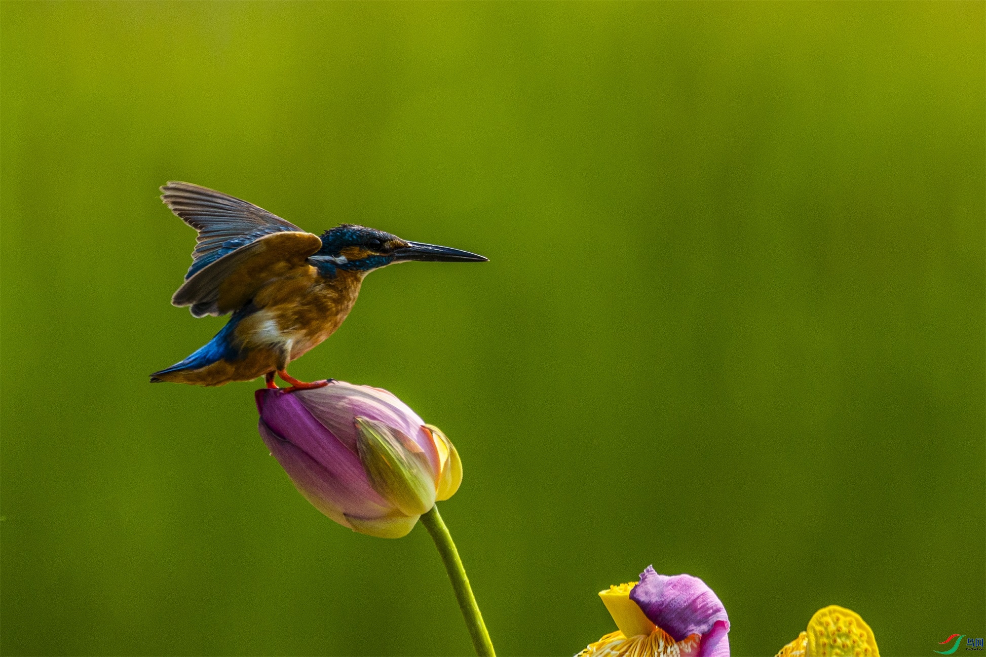 1K3A0748 ����1.jpg