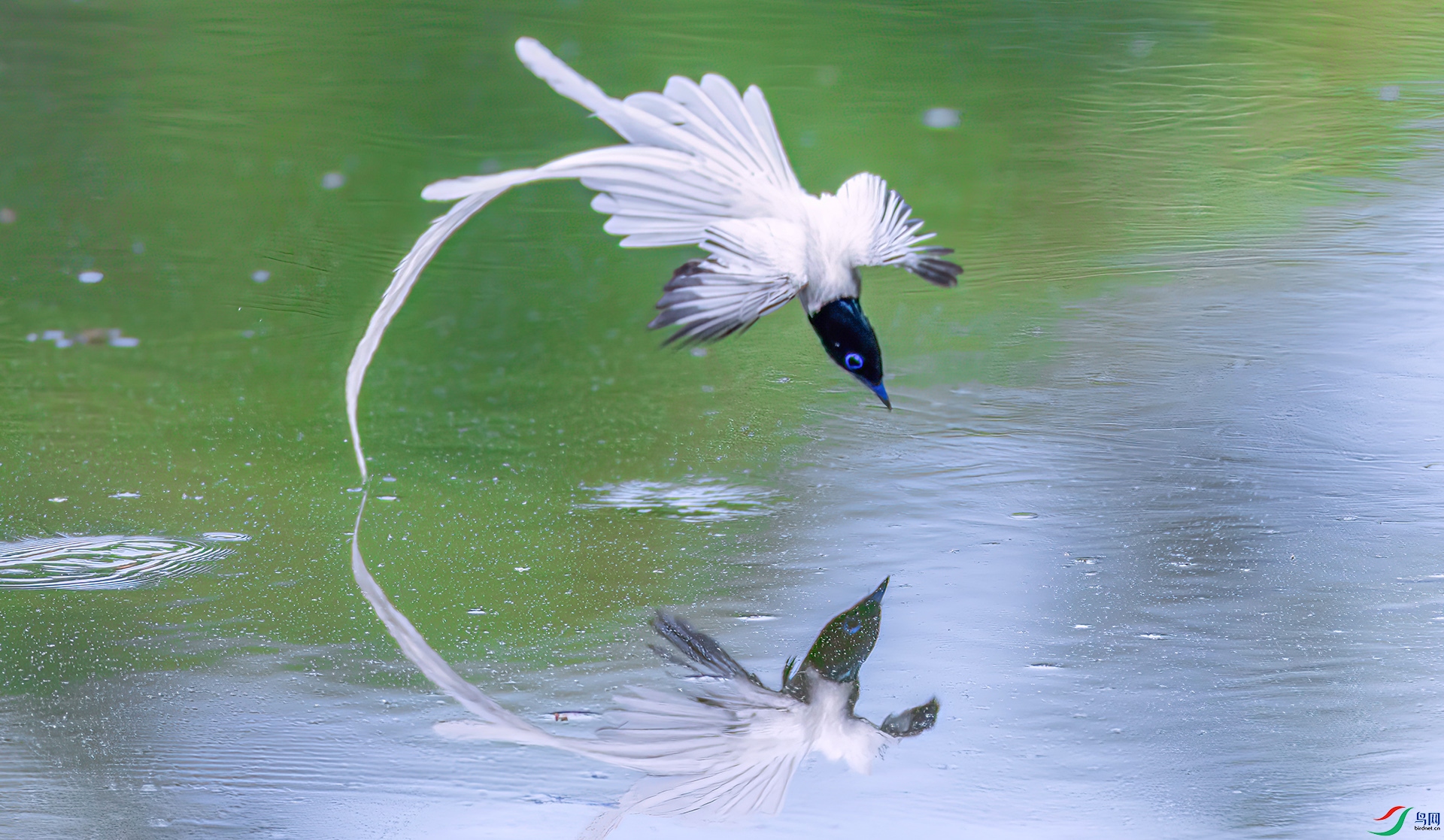 407A2121 ����-Sh----1 .jpg