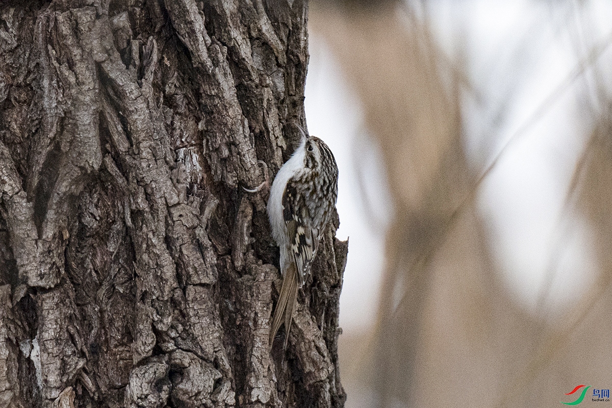 _DSC9786--.jpg