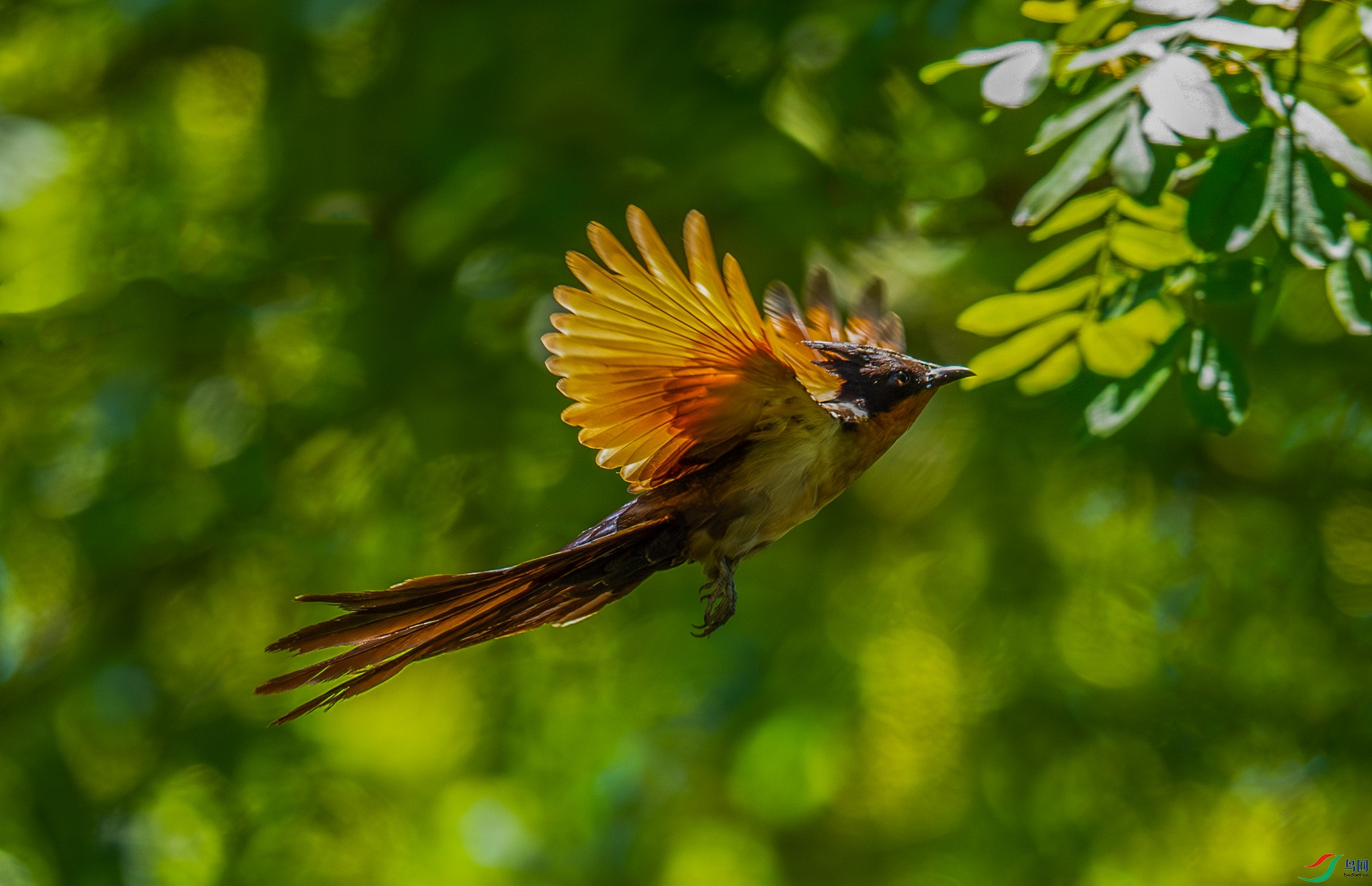 DSC_6354-����ǿ-NR.jpg