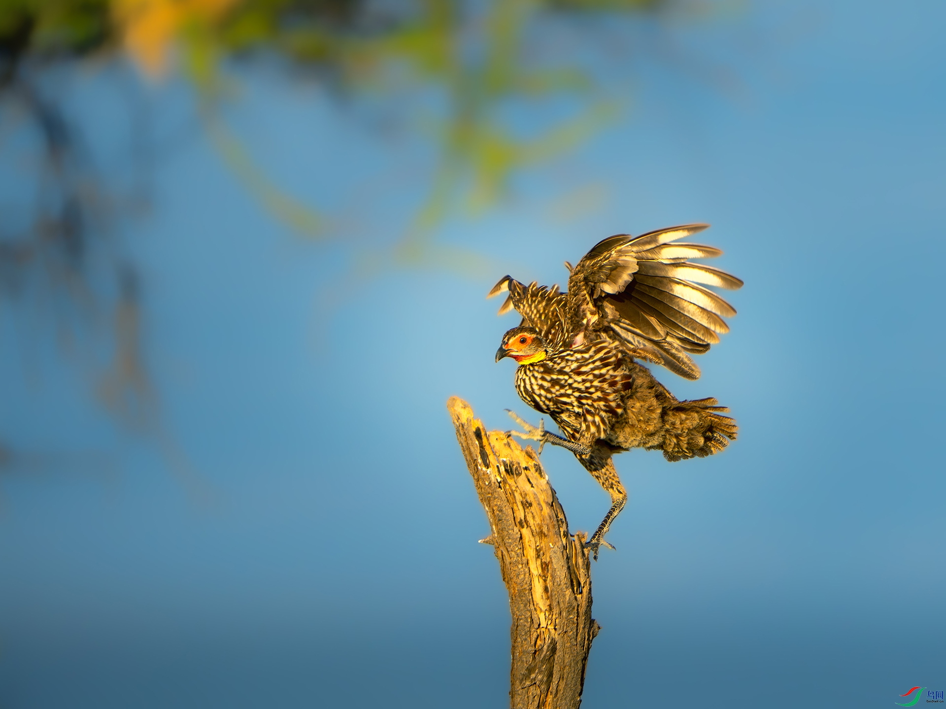 _DSC2283-����ǿ-NR ����.jpg