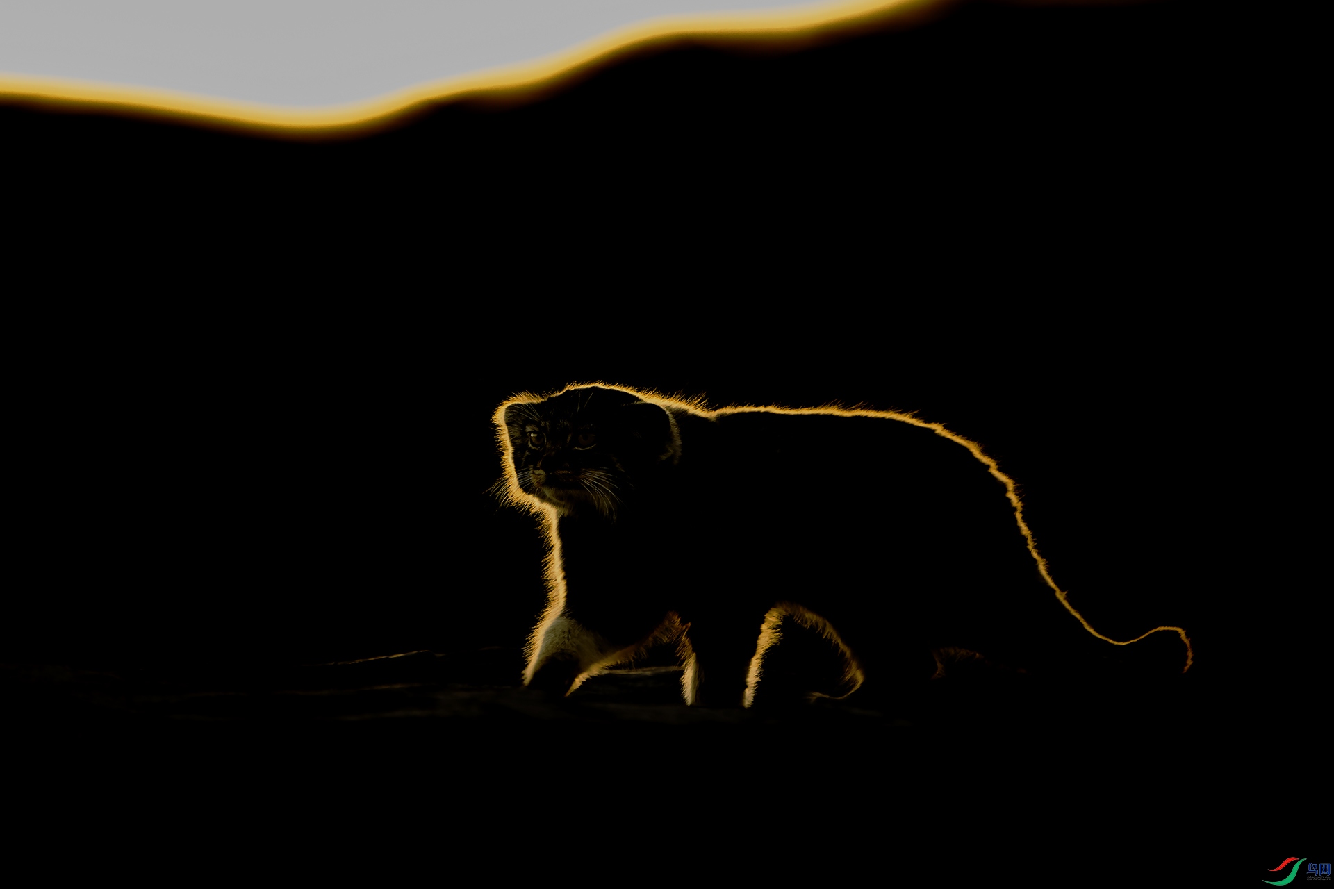 _CYG6760-NEF_DxO_DeepPRIME ����.jpg